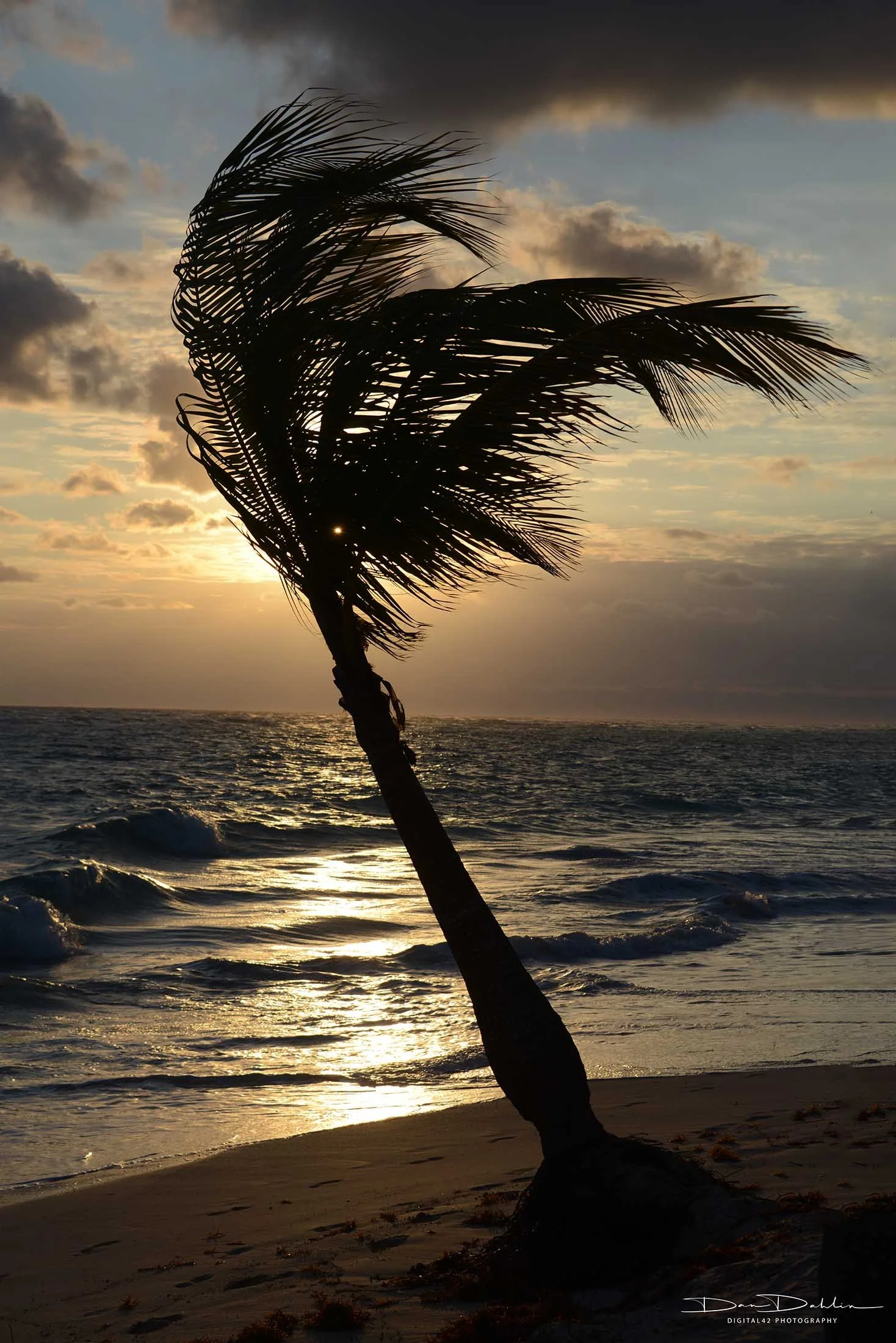 Sunrise Punta Cana.jpg