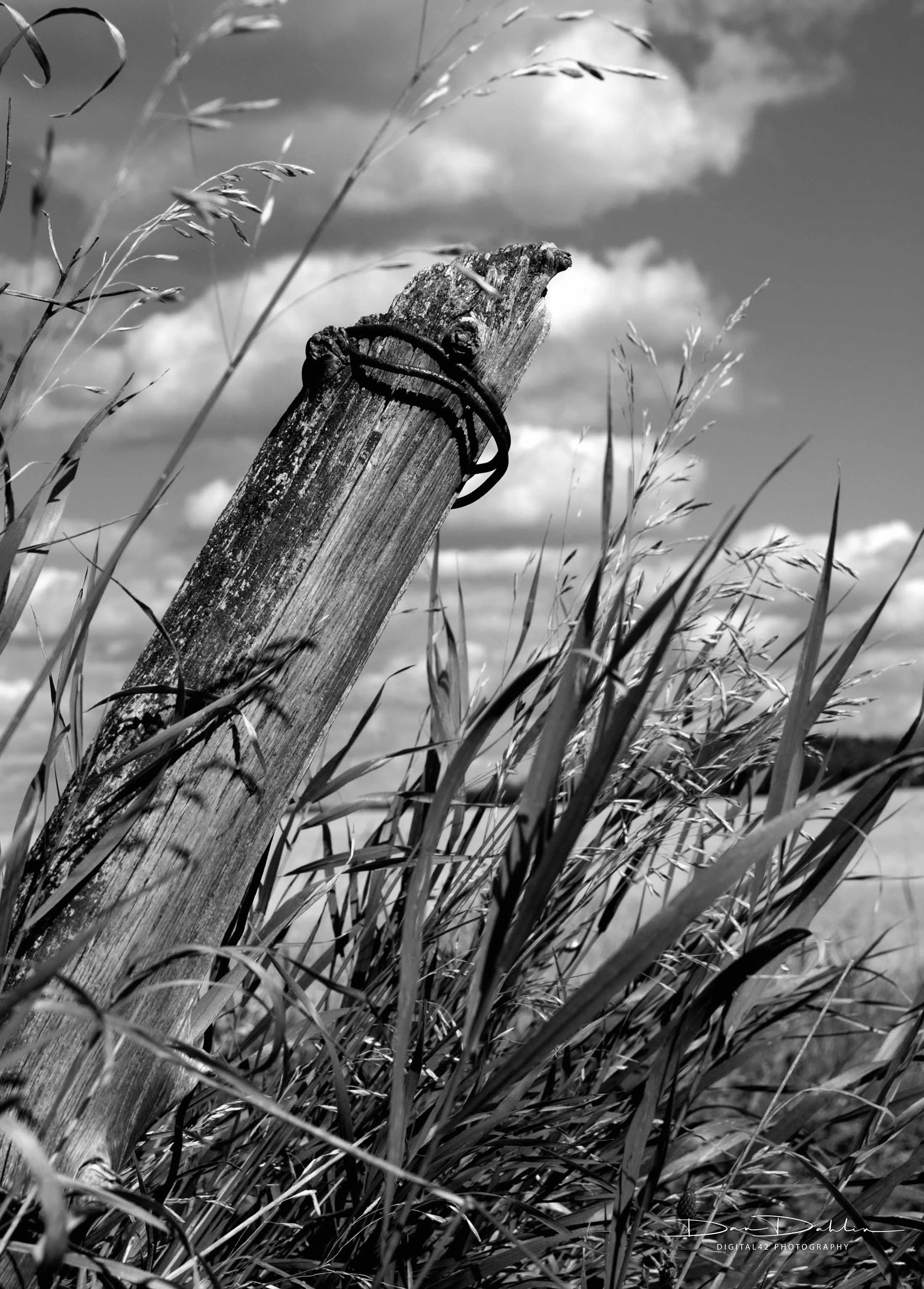 Post Grey_cropped.jpg