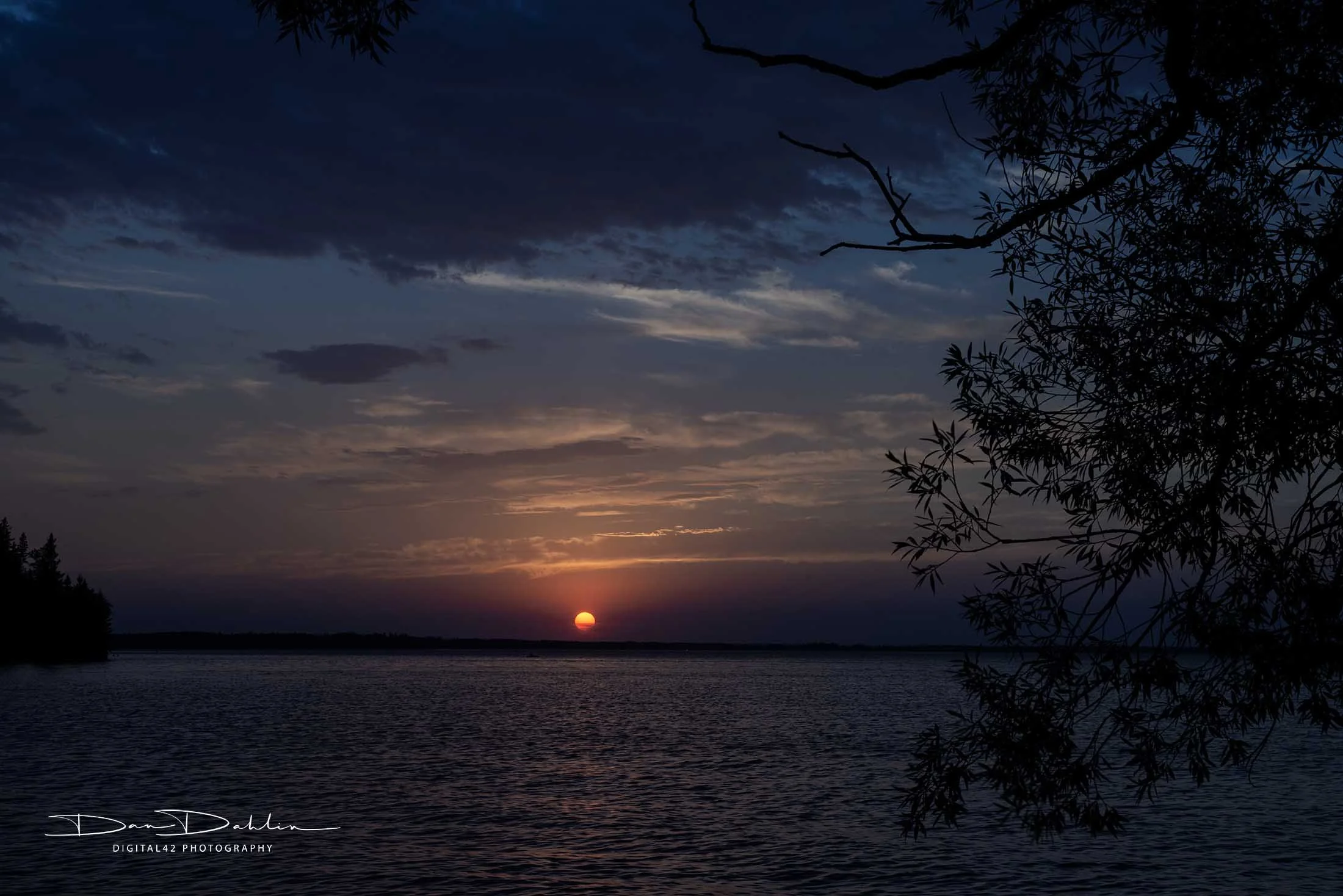 DSC_7712.jpg