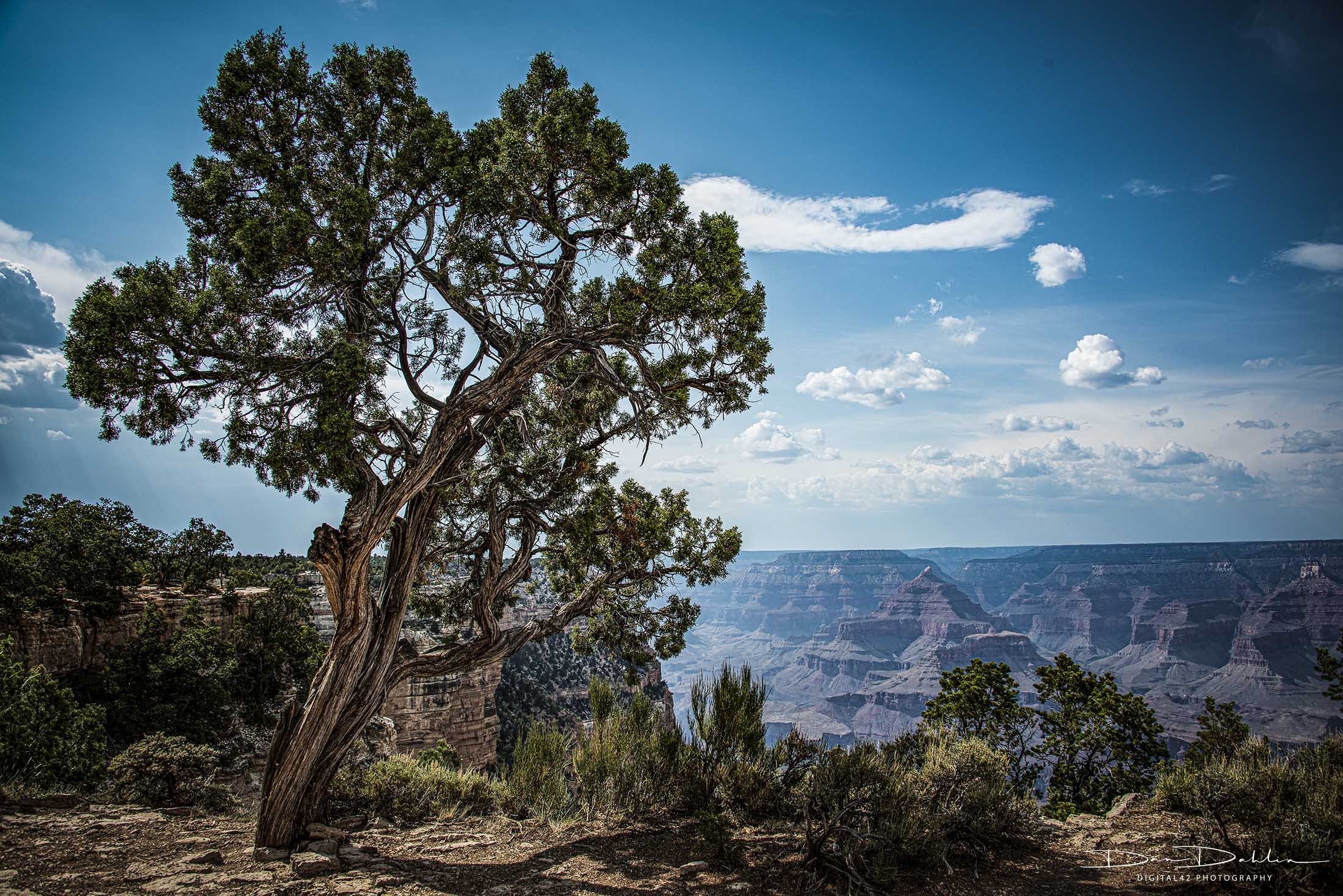 Grand Canyon_1HDR.jpg