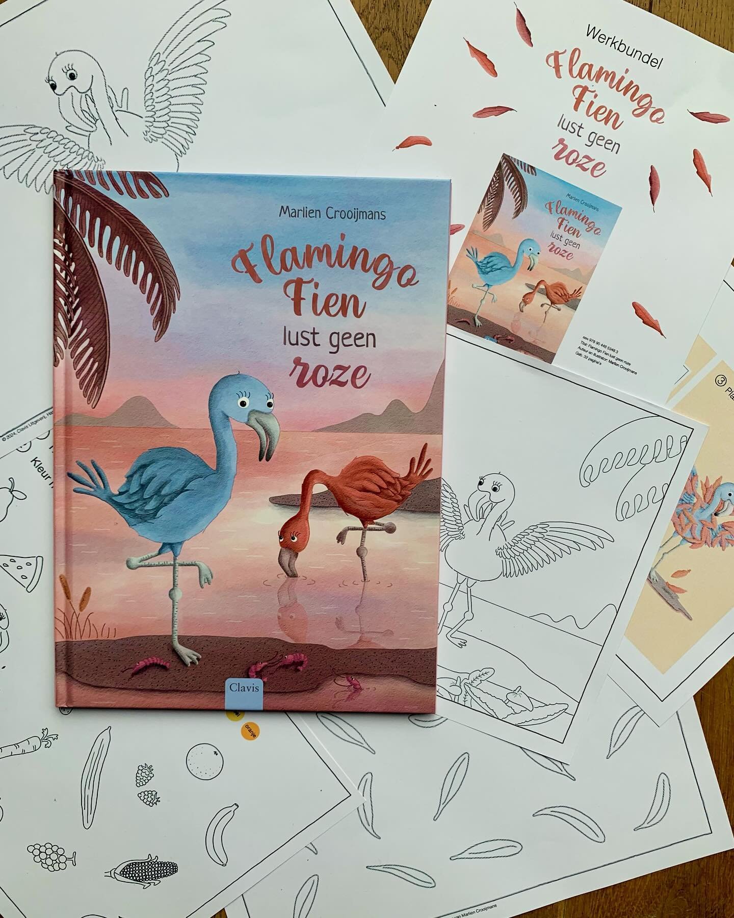 De activiteitenbundel van &lsquo;Flamingo Fien lust geen roze&rsquo; is nu beschikbaar!

Er zitten leuke activiteiten zoals spelletjes en knutselwerken in. Leuk voor bij het boek, maar deze bundel is zeker ook leuk als je het boek nog niet gelezen he