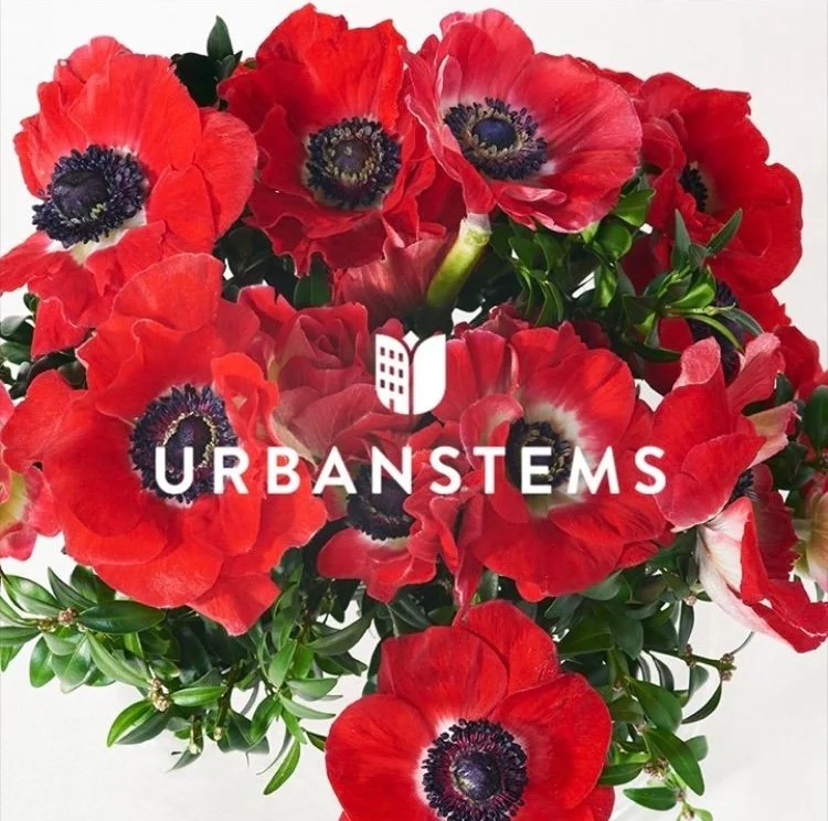 Red Anemones