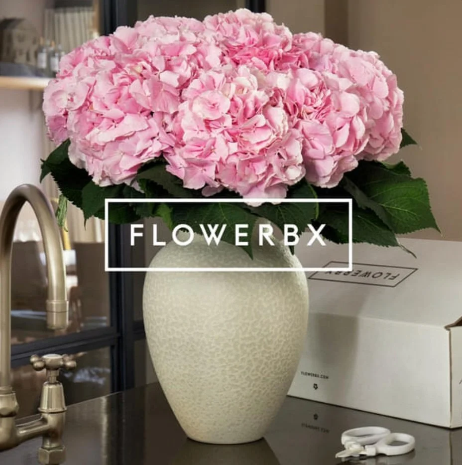 Our favorite perennial things
