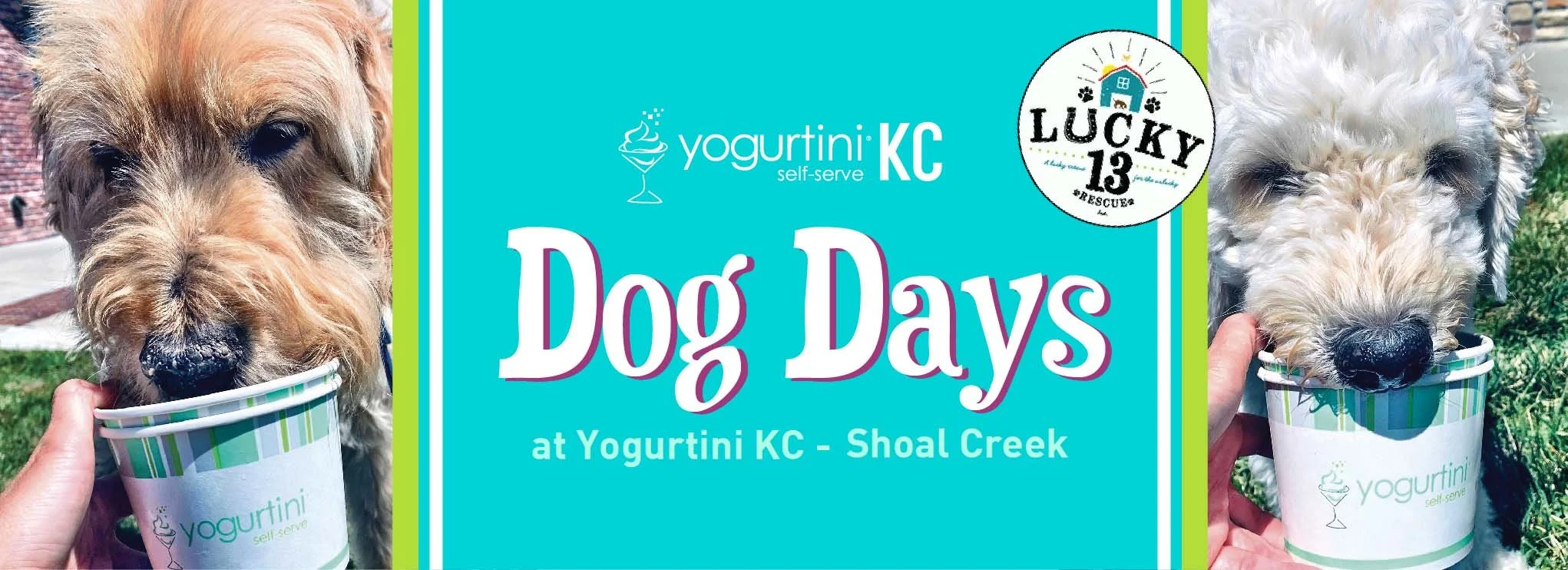 Kansas City Yogurtini Events — Yogurtini KC