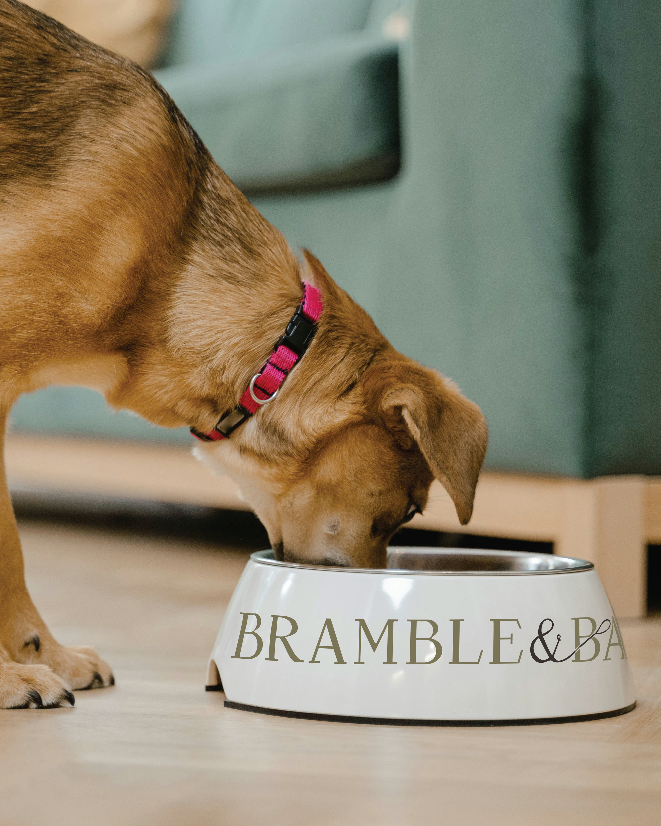 Bramble & Bark Mockups-03.png