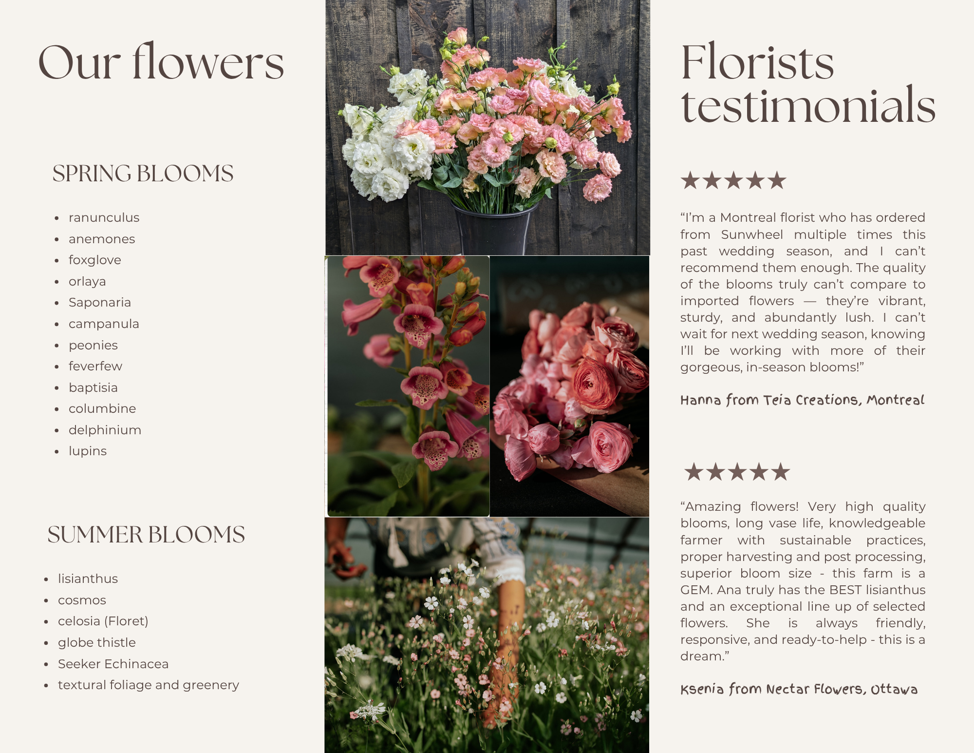 ana flower options.png