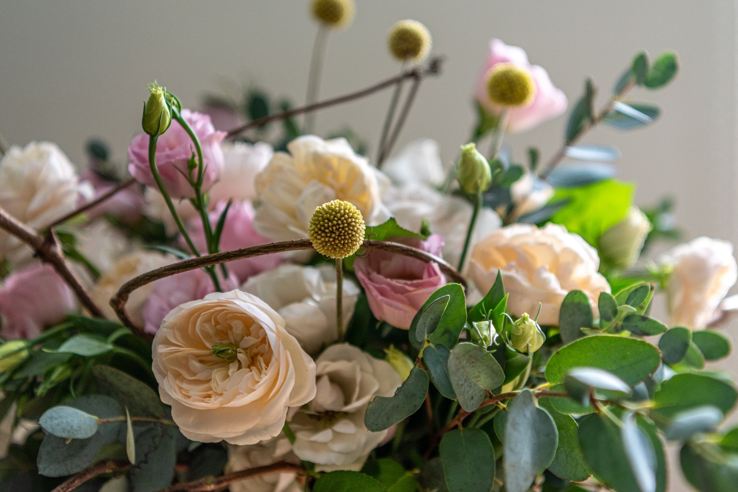 Flower Farm Add-On: Specialty Blooms & Custom Colors