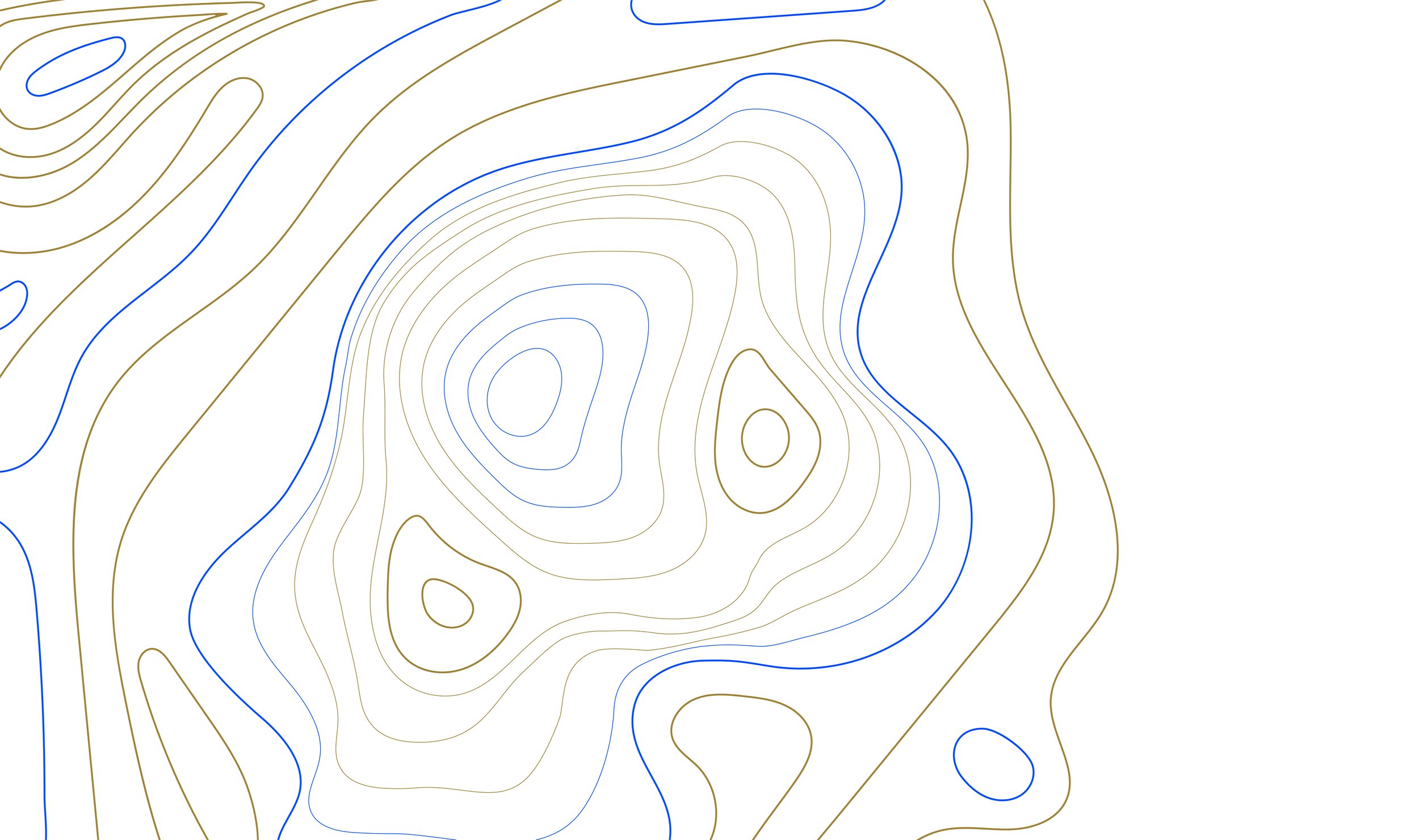 TopographicPattern-SourceFile_Topographic pattern-2 color.jpg