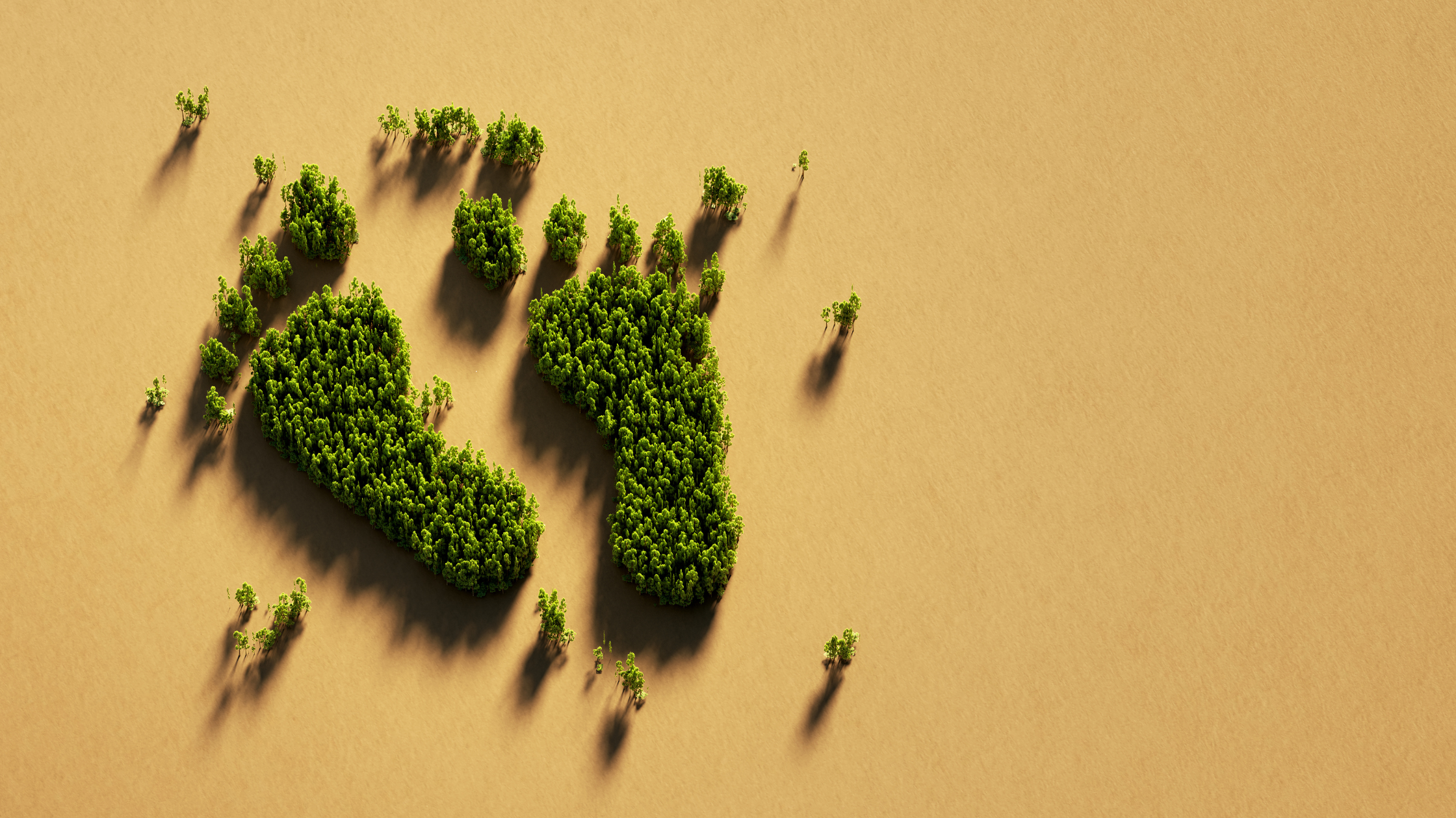 3 Ways To Reduce Your Carbon Footprint