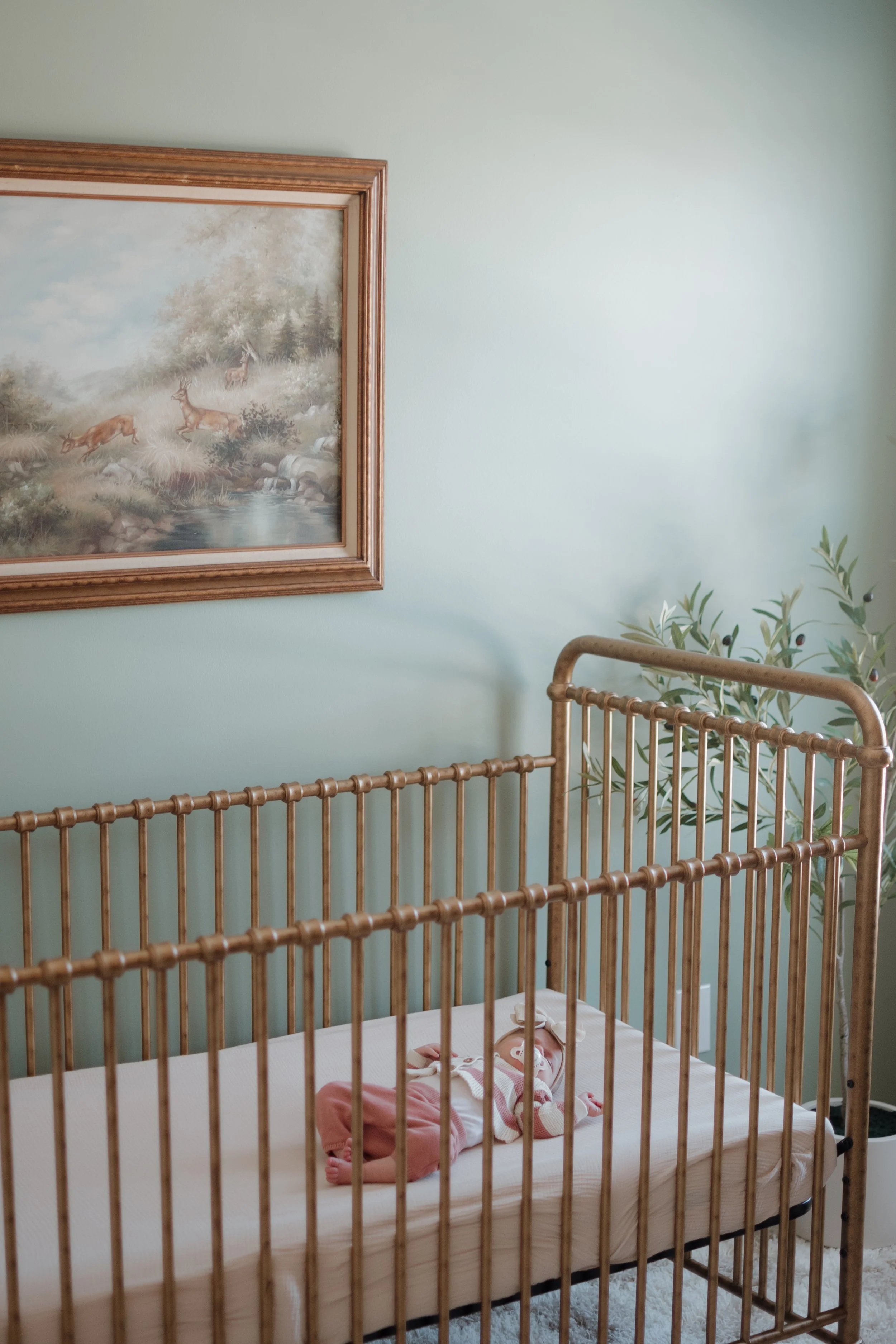 presleynewborn-108.jpg