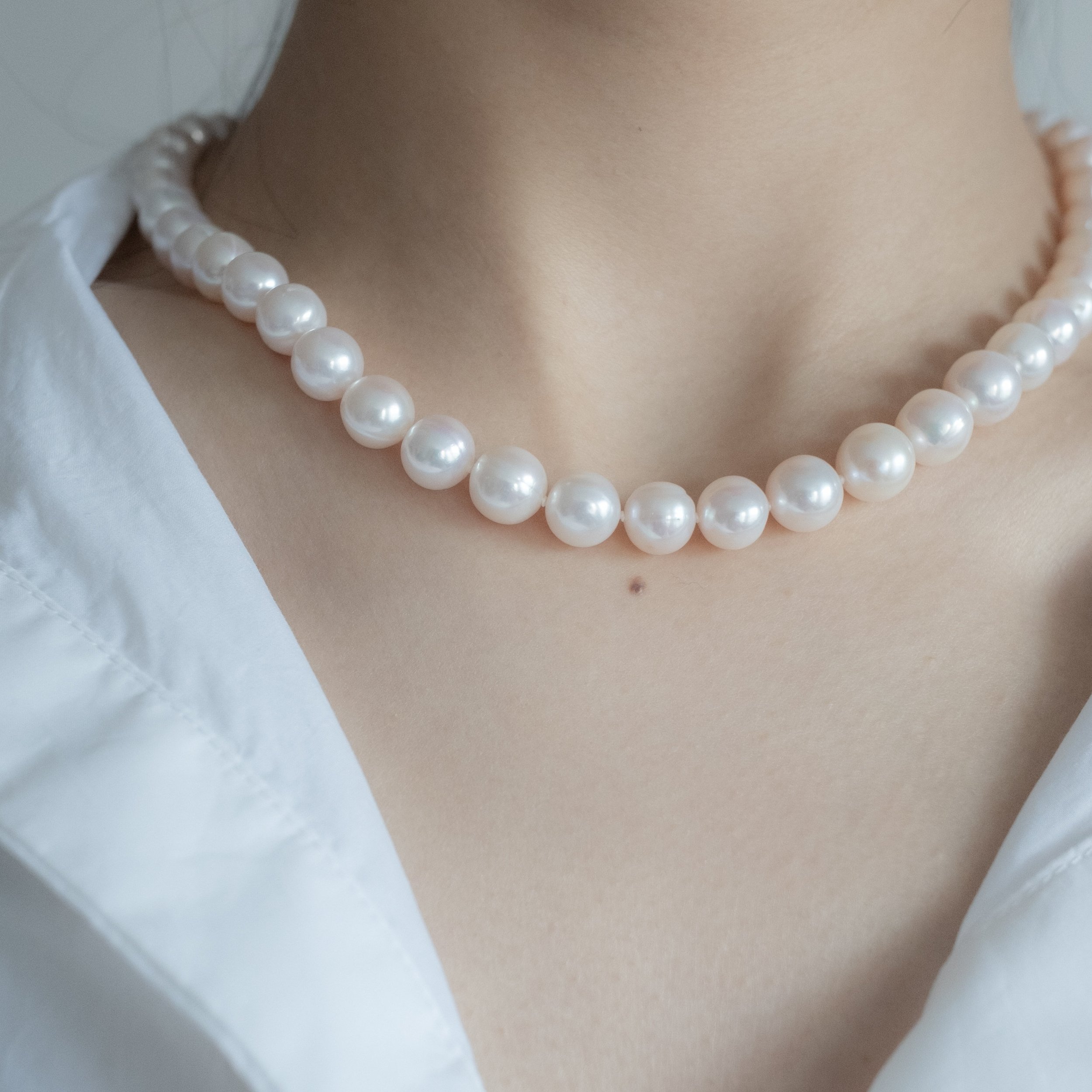 https://i.etsystatic.com/27705553/r/il/c0d442/3674651086/il_fullxfull.3674651086_b1ui.jpg