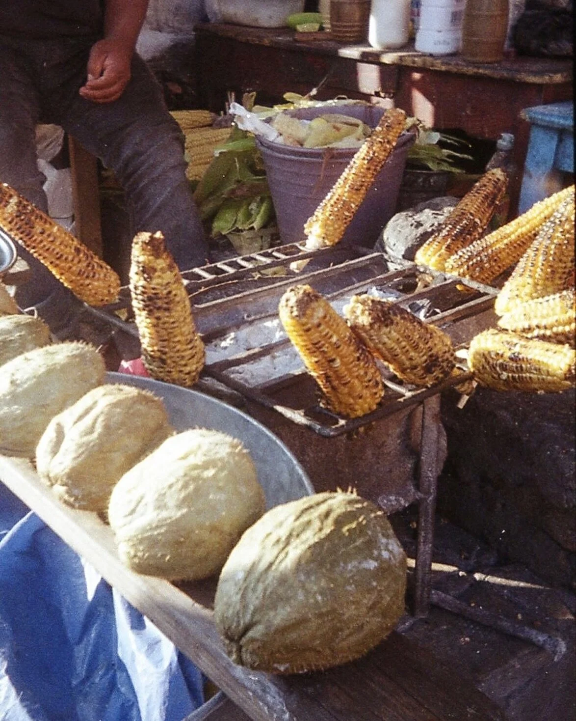 elotes