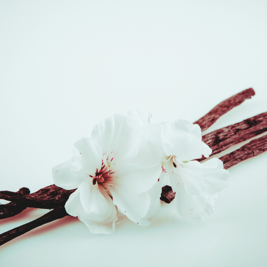 Vanilla