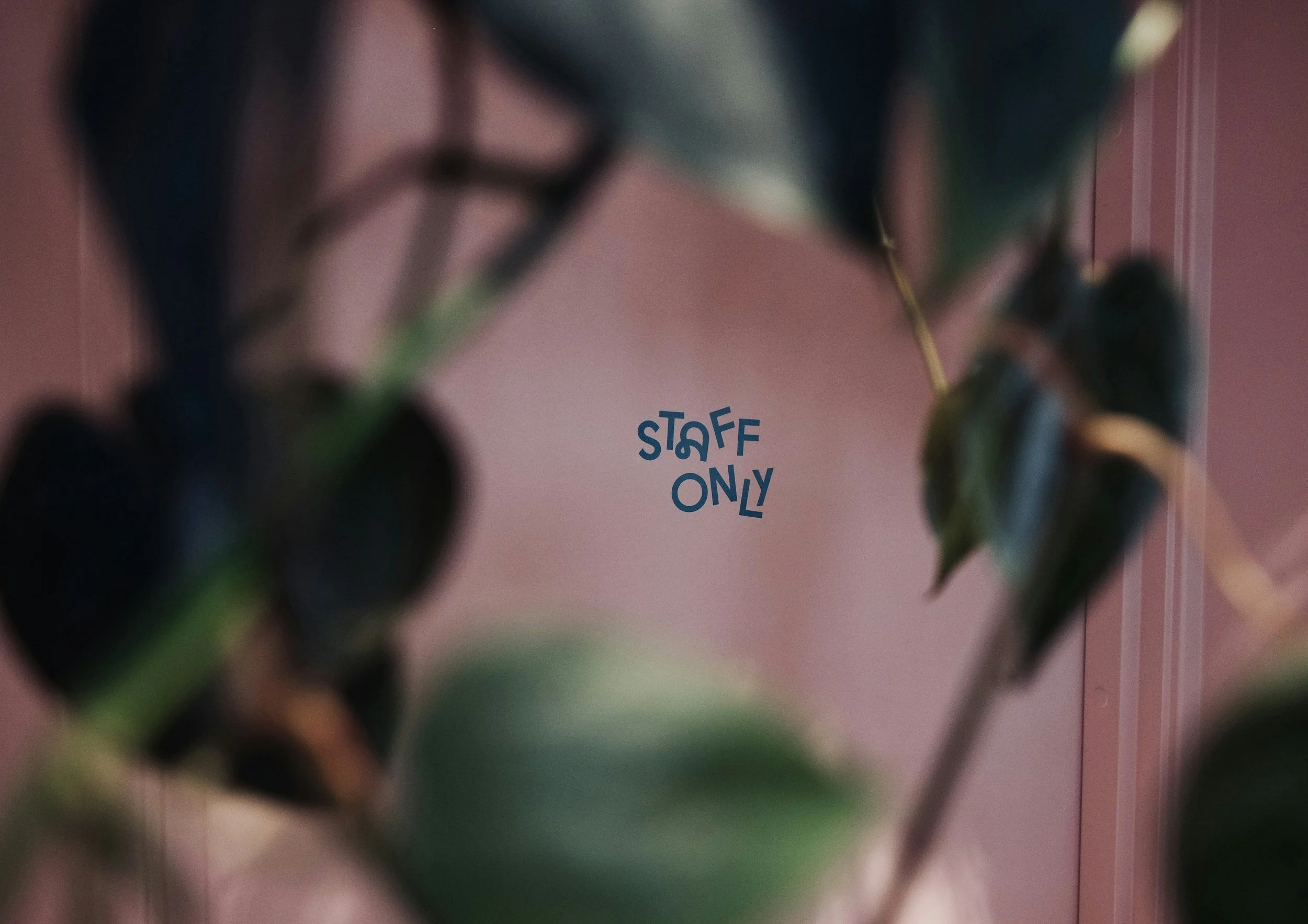 Closed: Staff Development Day