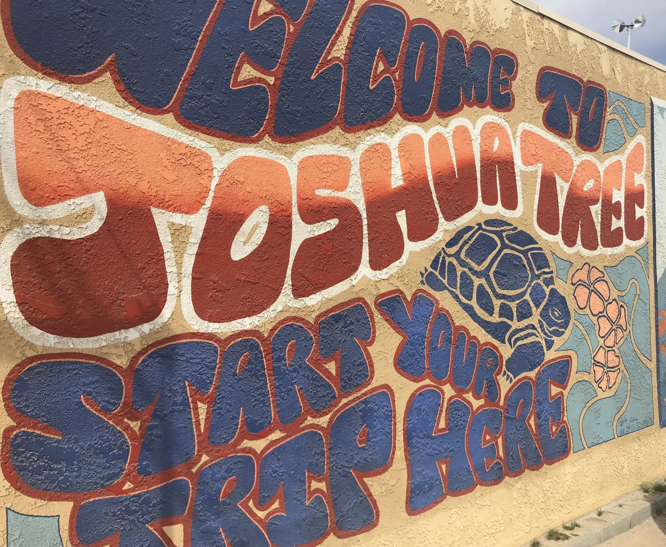 Explore Joshua Tree NP in 2.5 days