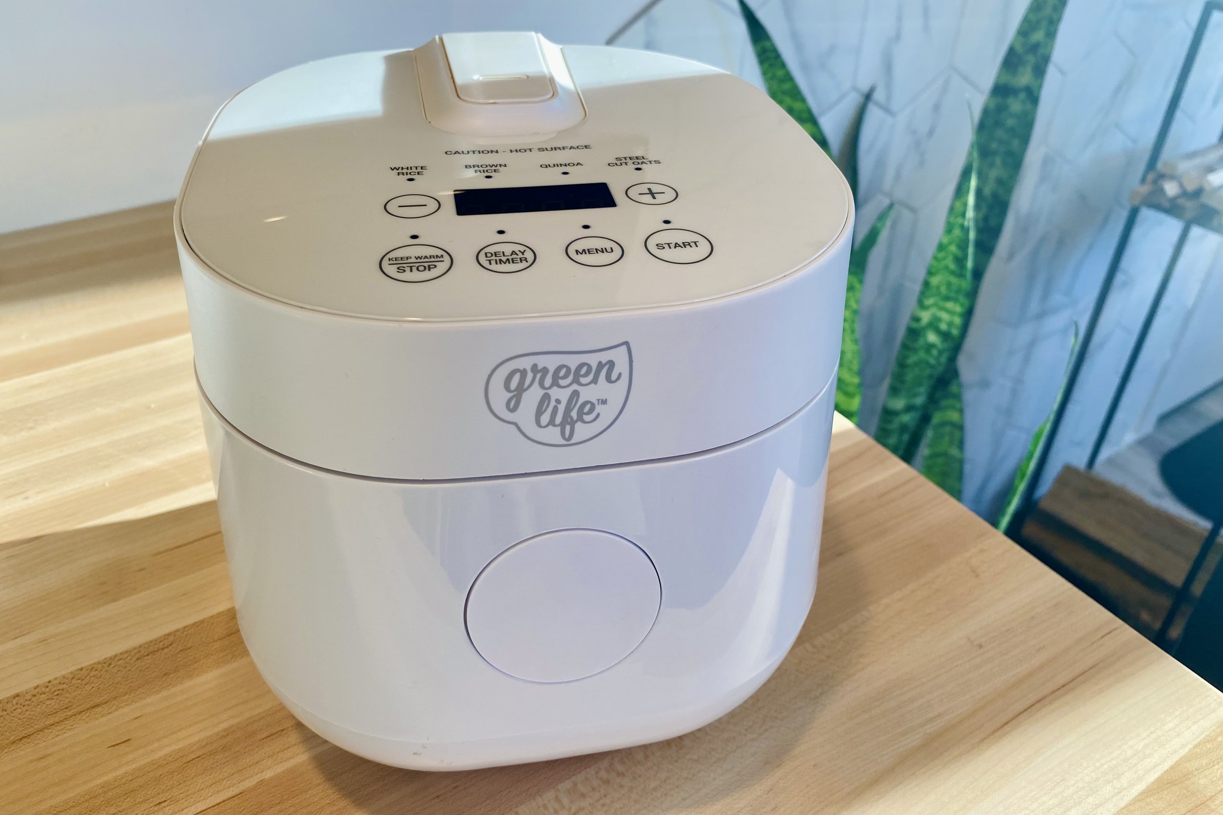 GreenLeaf Grain Cooker