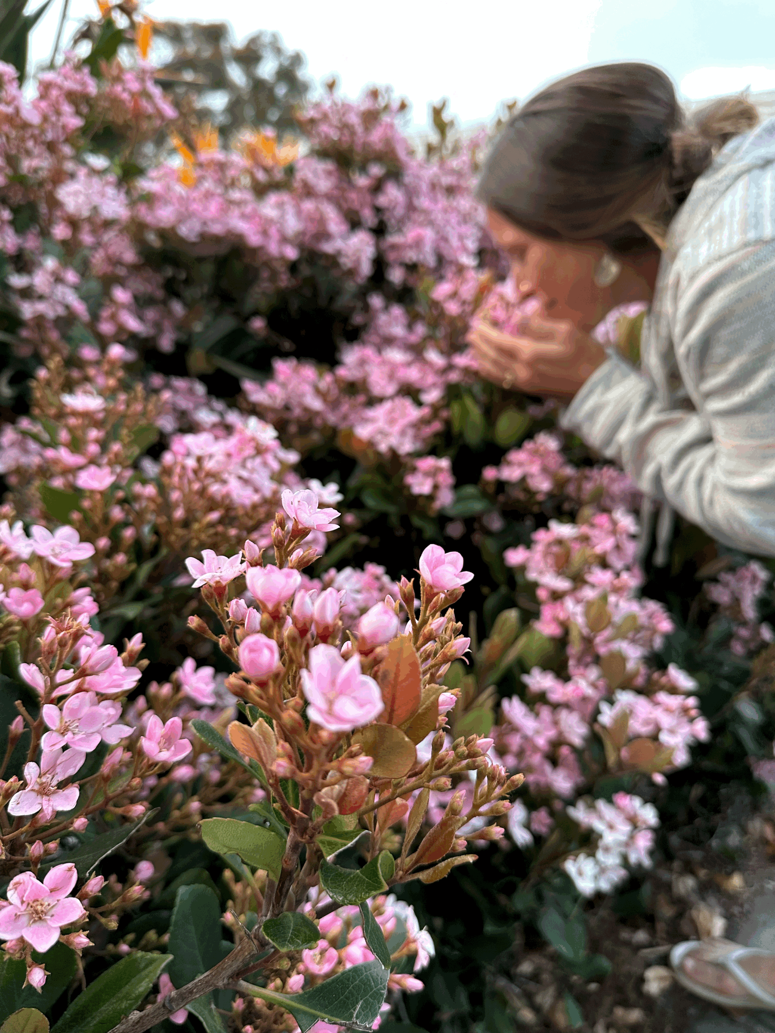 Five Questions to Bring into Spring