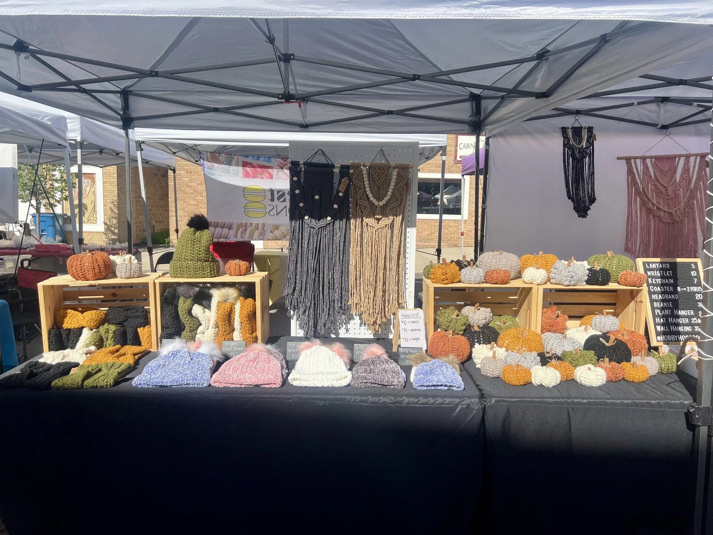 Monticello Riverfest- Art in the Park (Copy)
