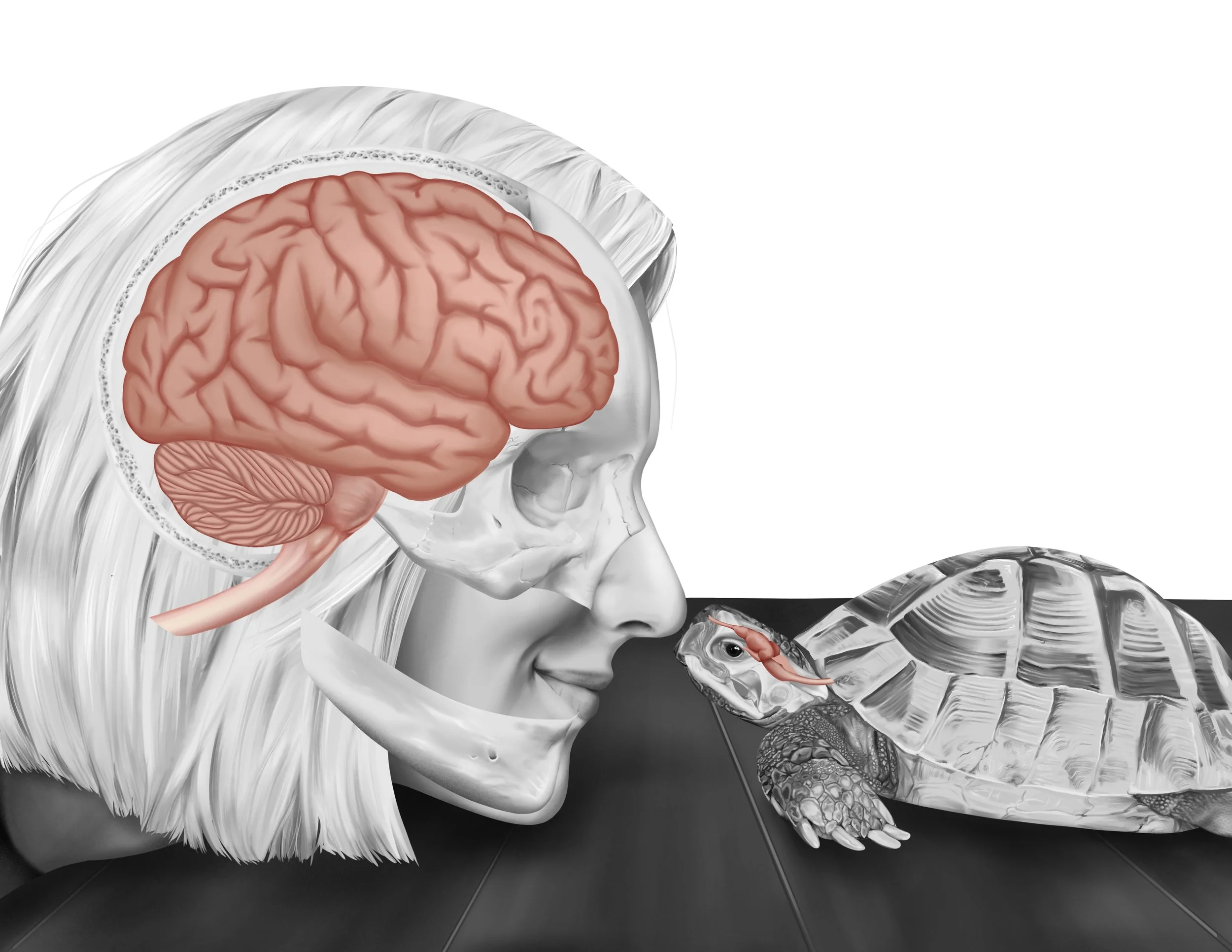 NL_neuroportrait_design_3.JPG
