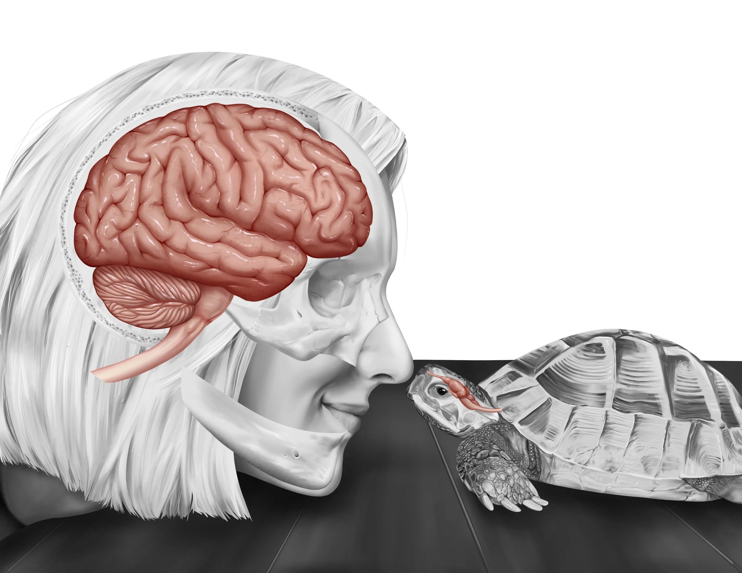 NL_neuroportrait_design_4.JPG