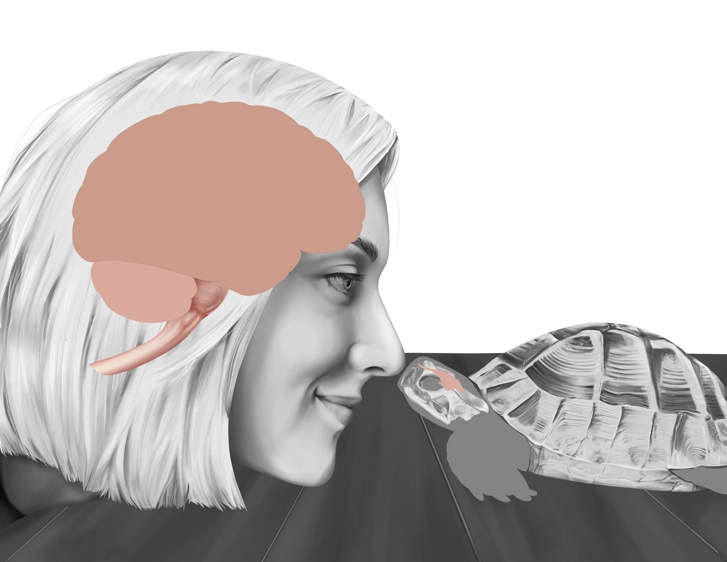NL_neuroportrait_design_2.JPG