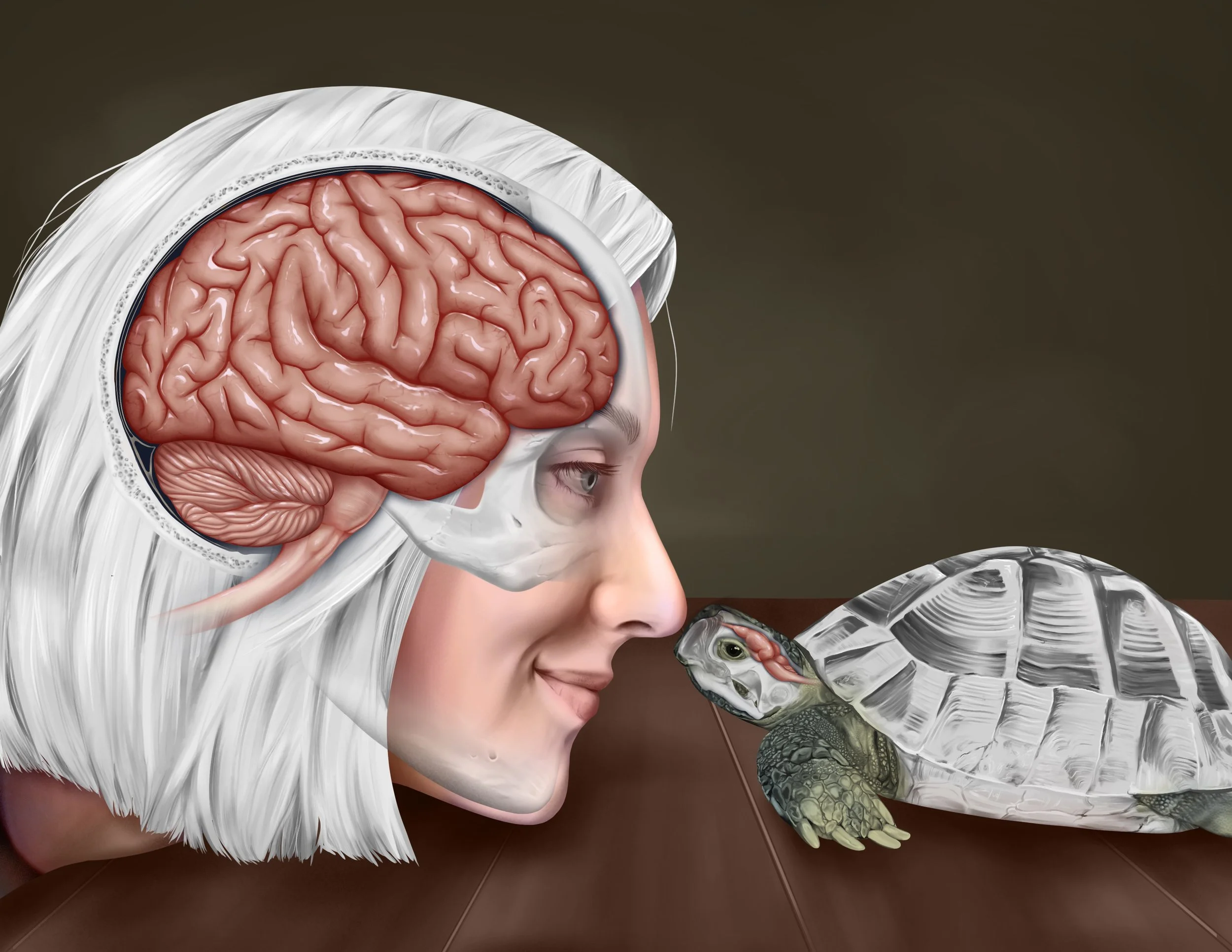 NL_neuroportrait_design_5.JPG