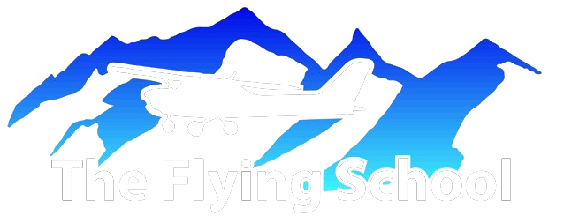 theflyingschool.com