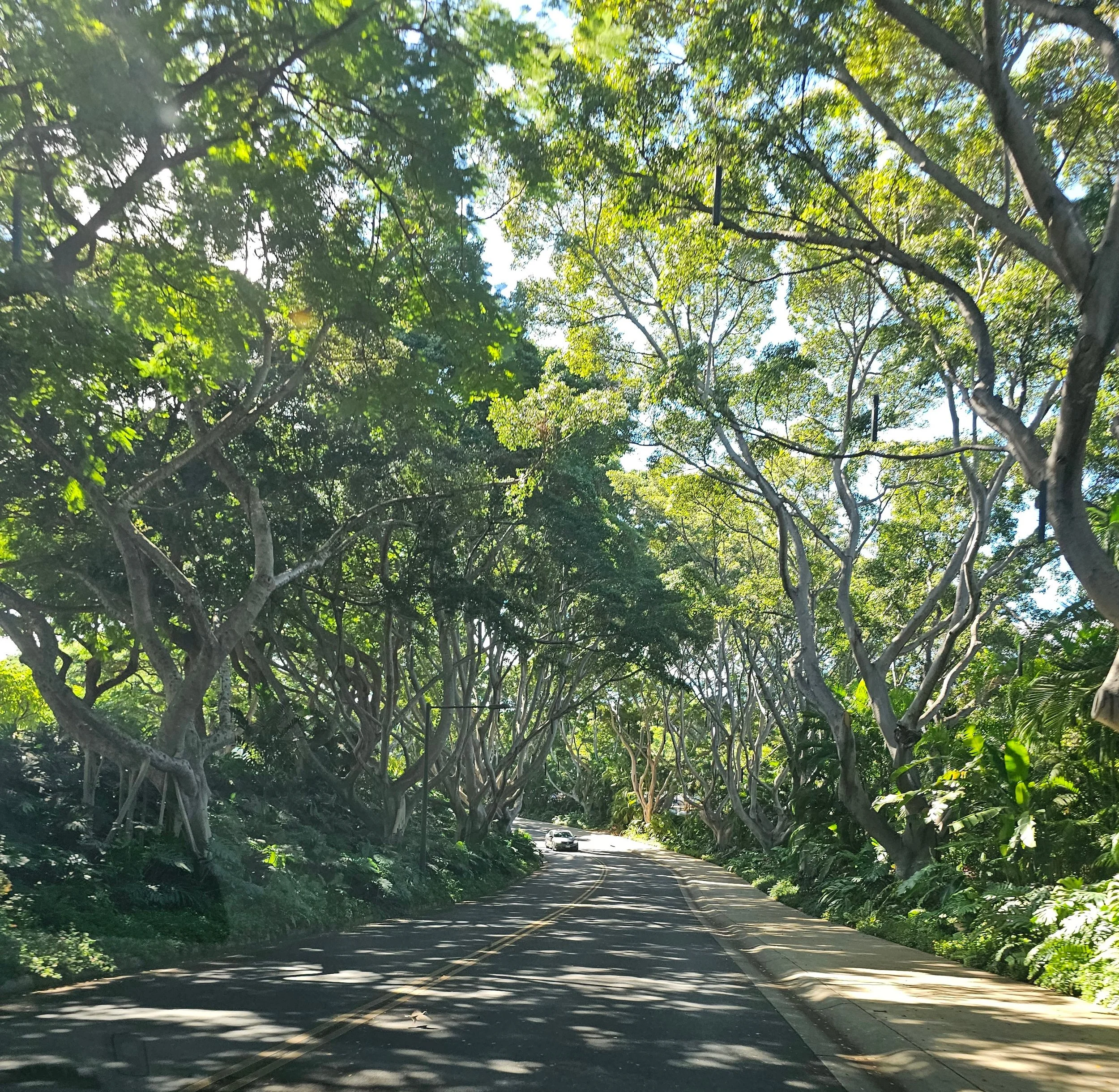 Getting Well &amp; Staying Well