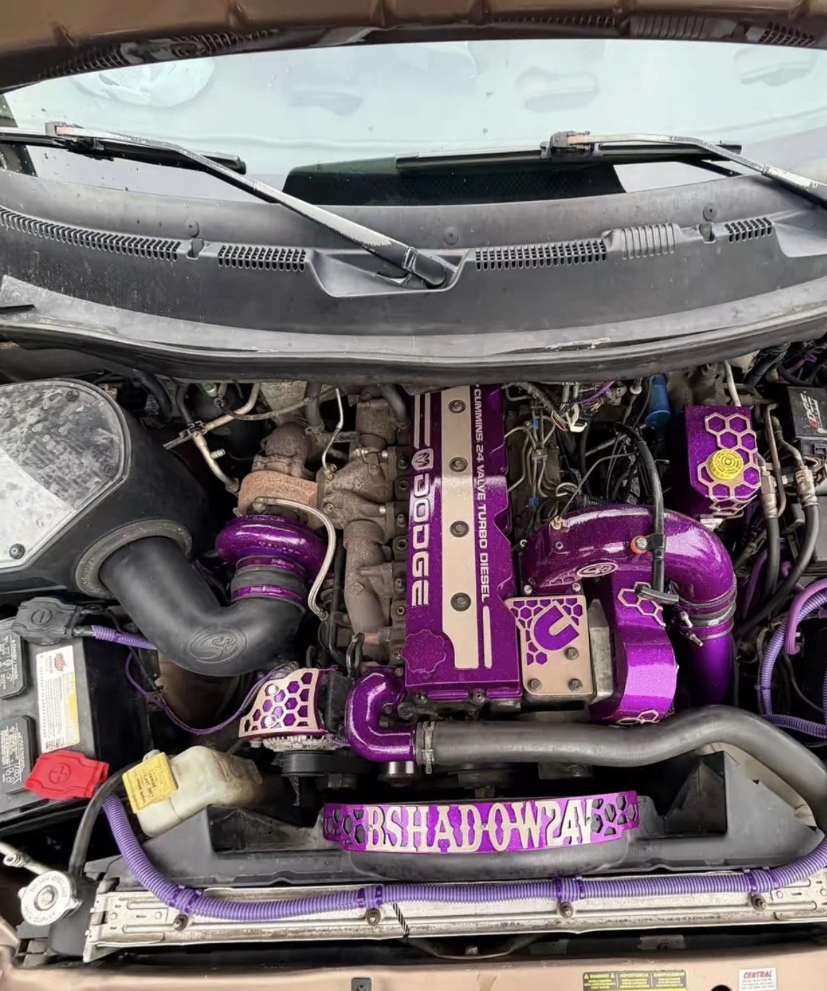 98-02 C honeycomb engine bay dressup