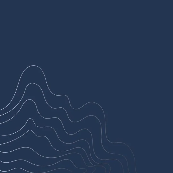 Dark blue background with white wavy contour lines in the bottom left corner.