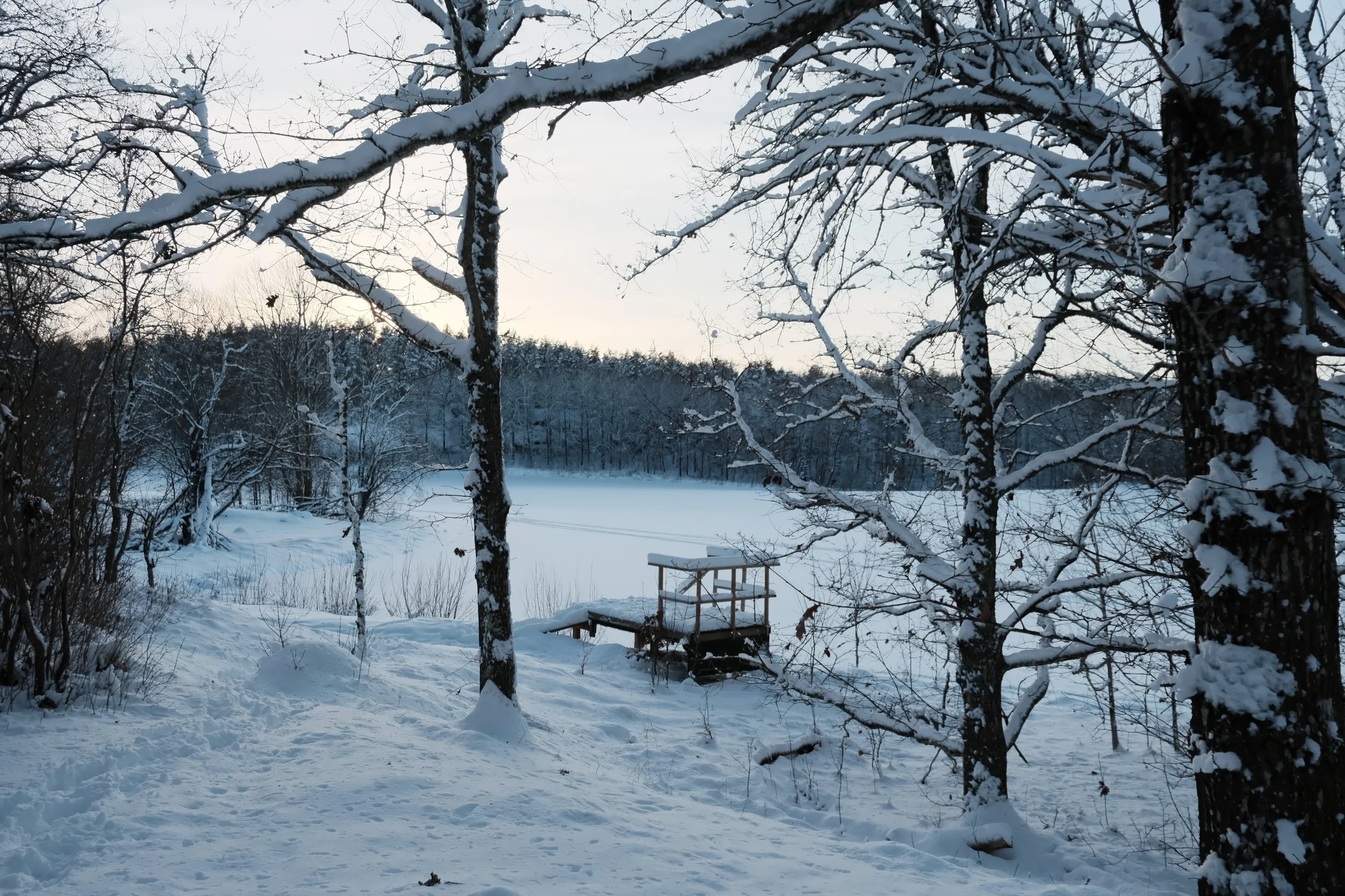 DSCF5505.JPG