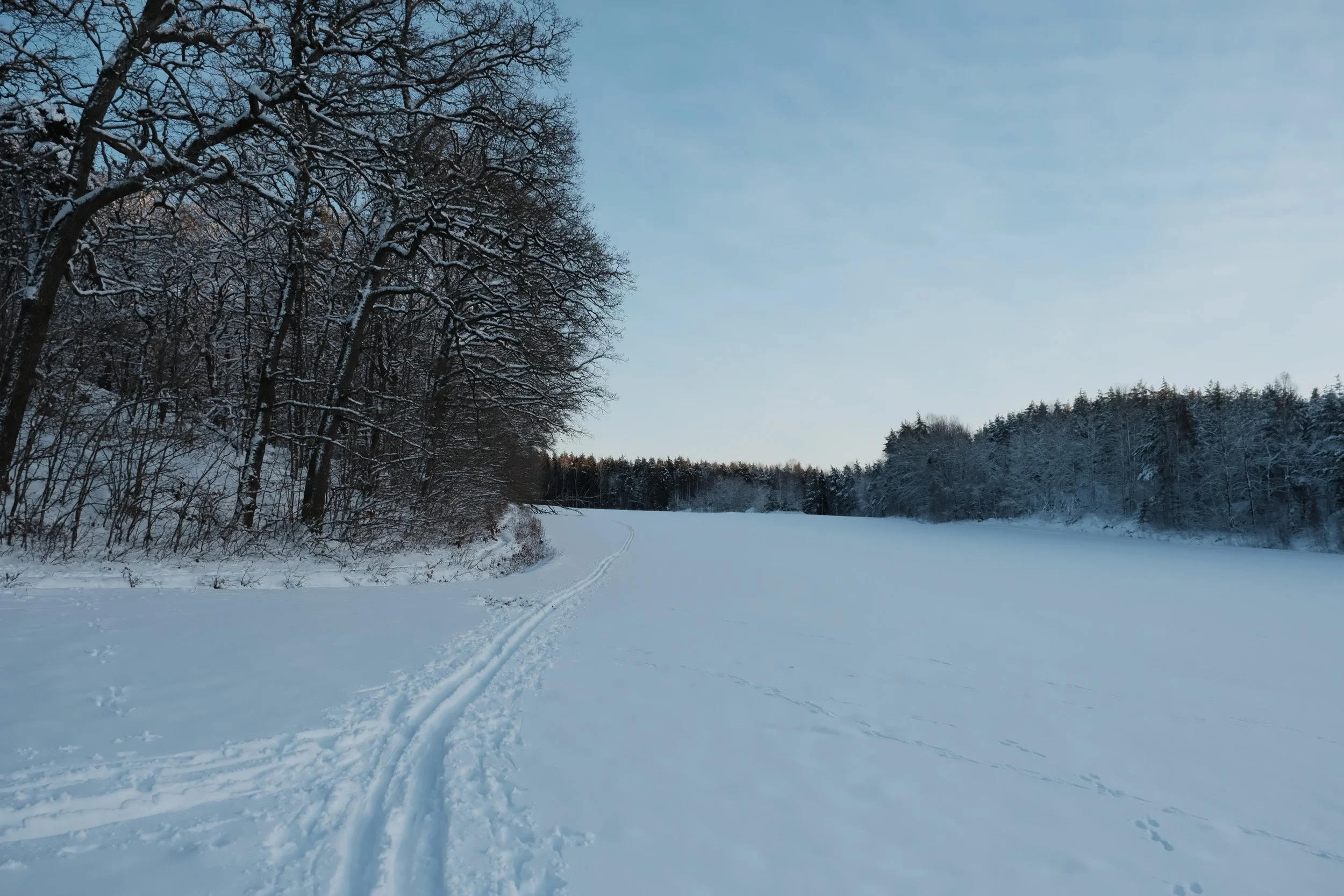 DSCF5511.JPG