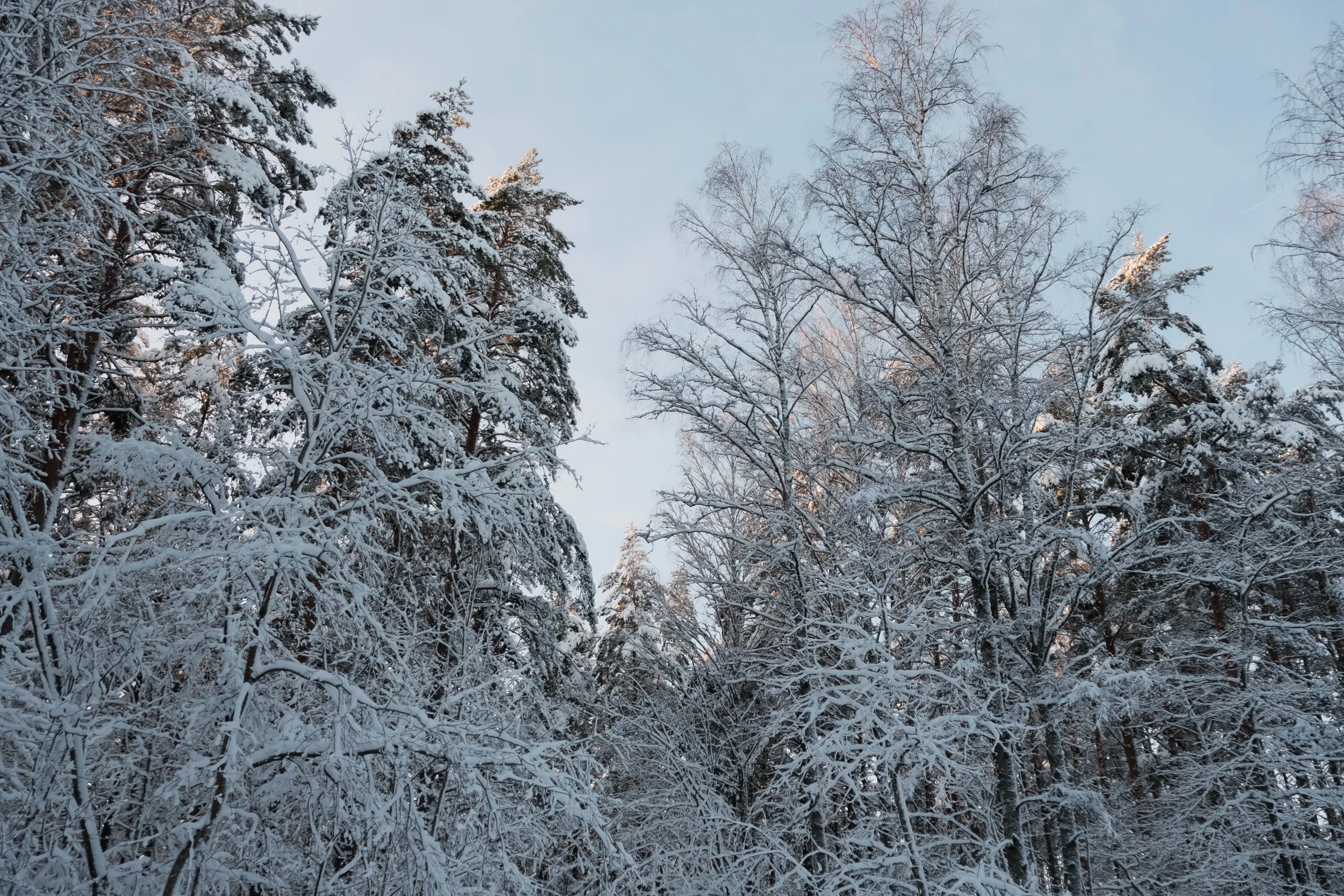 DSCF5520.JPG