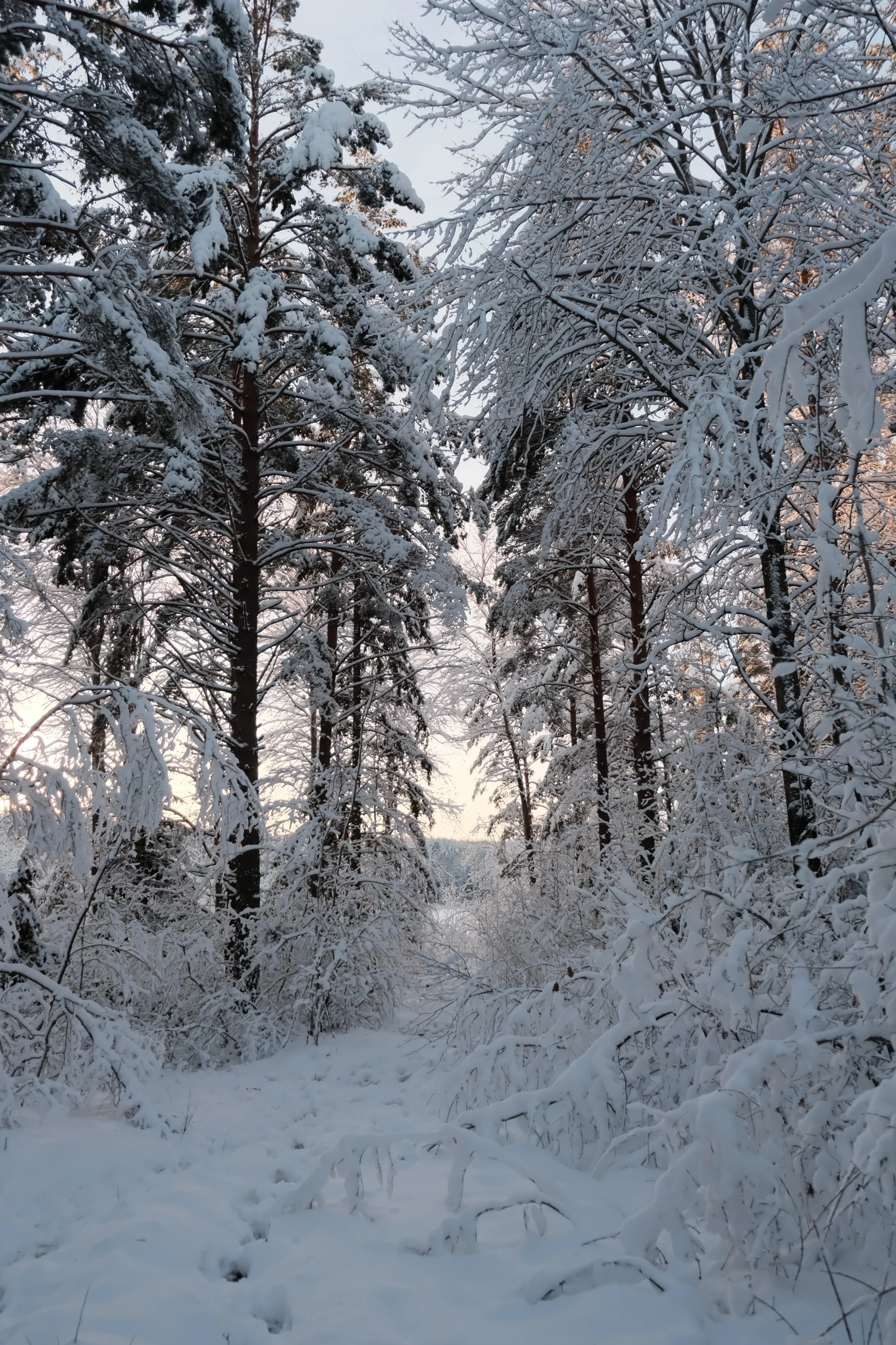 DSCF5532.JPG