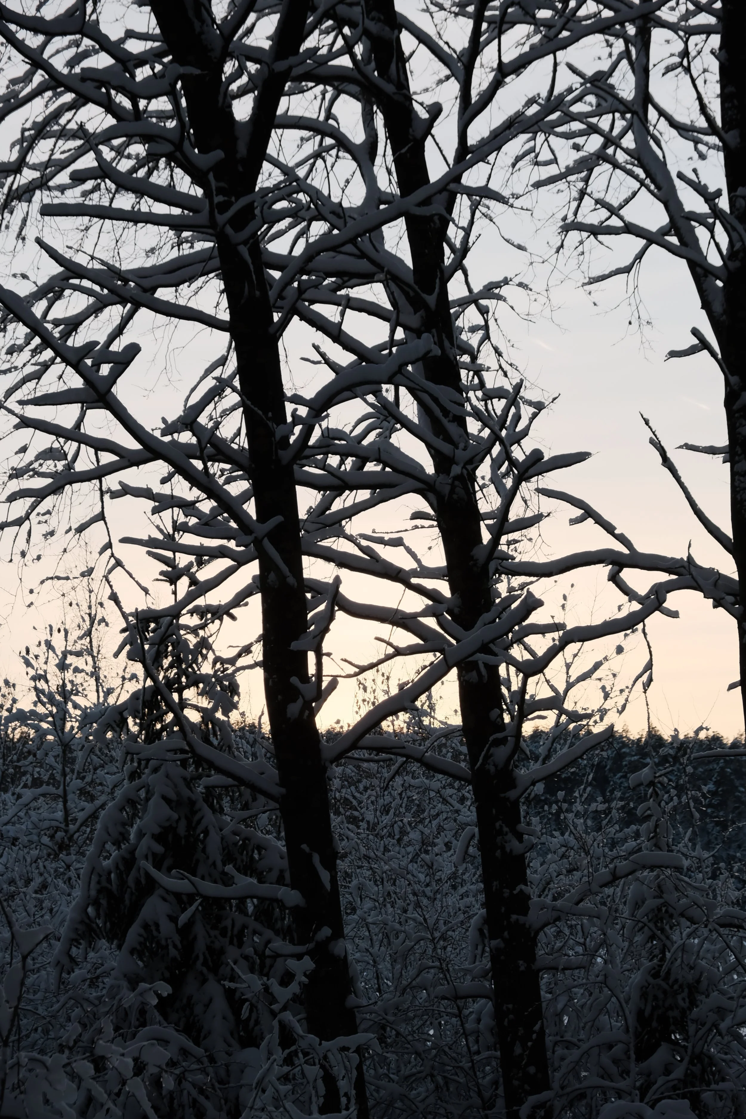 DSCF5535.JPG