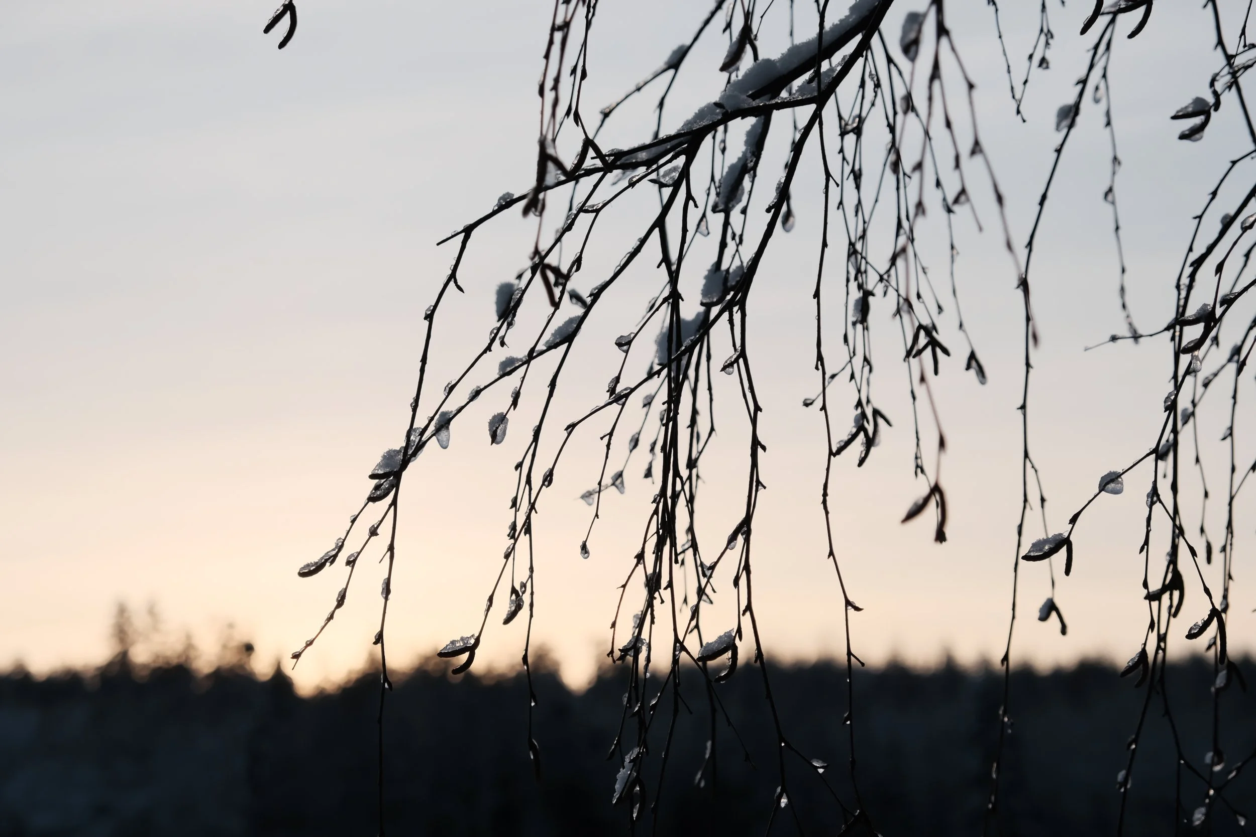 DSCF5551.JPG