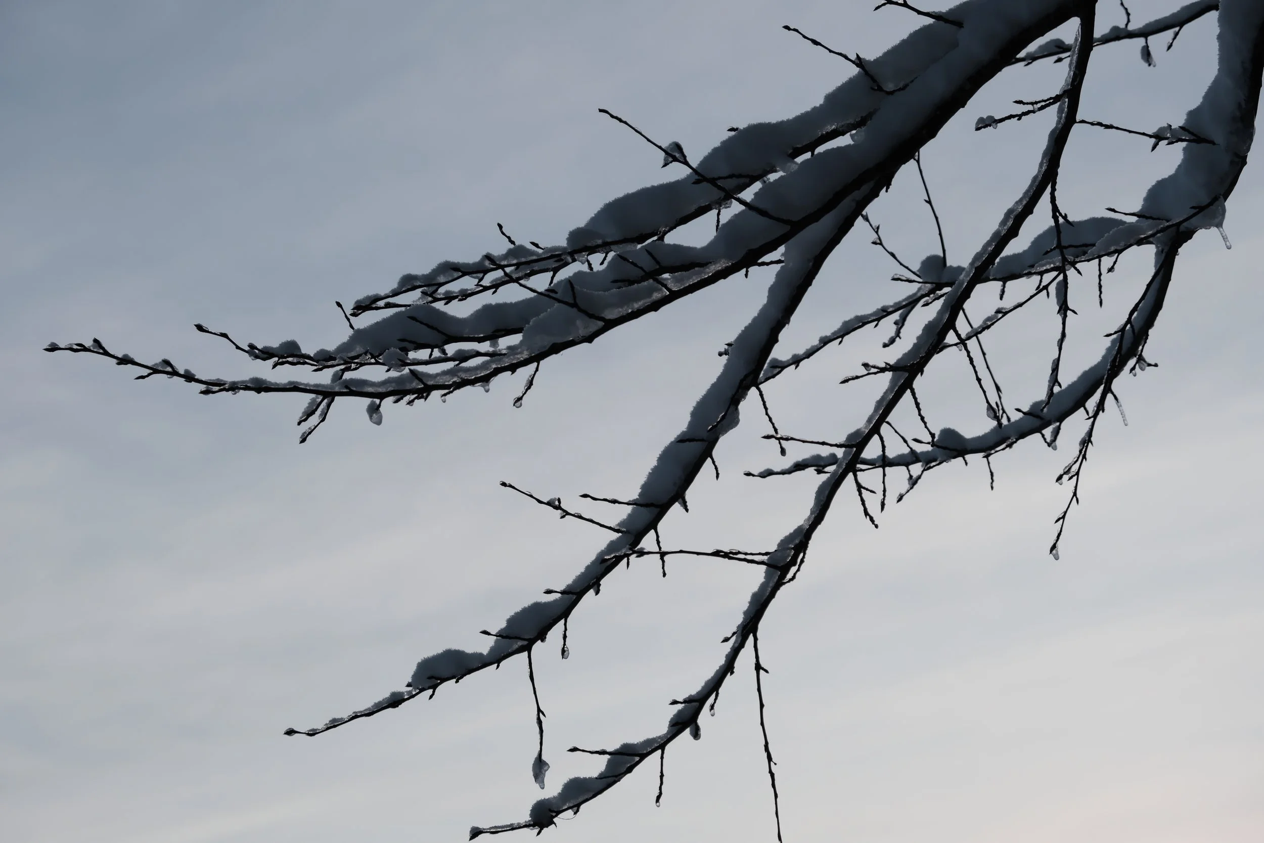 DSCF5552.JPG