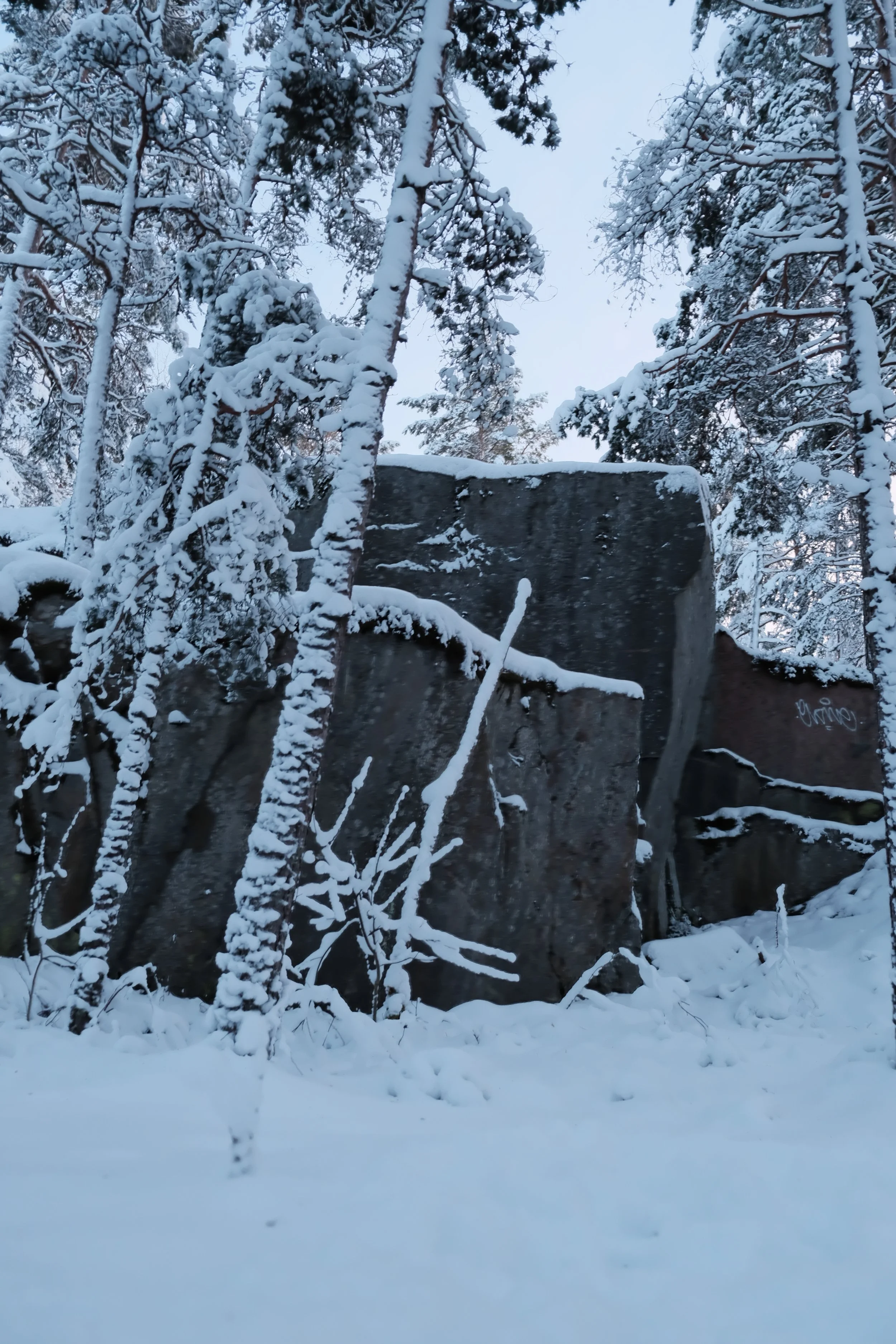 DSCF5586.JPG