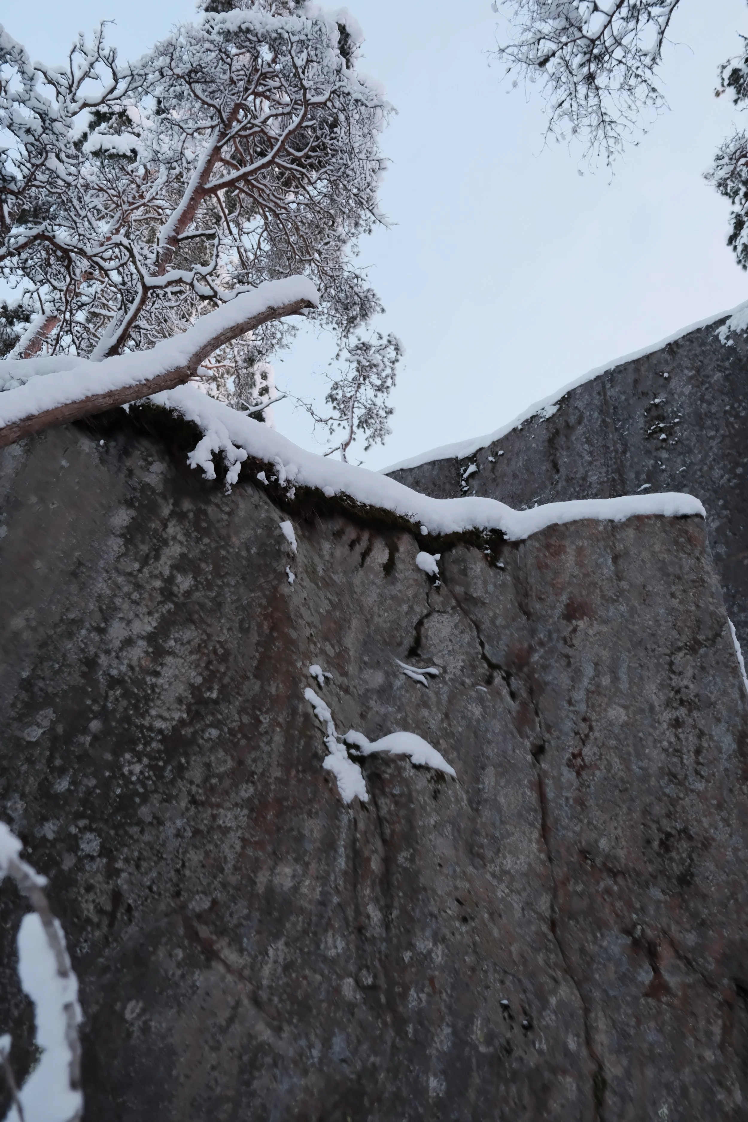 DSCF5587.JPG