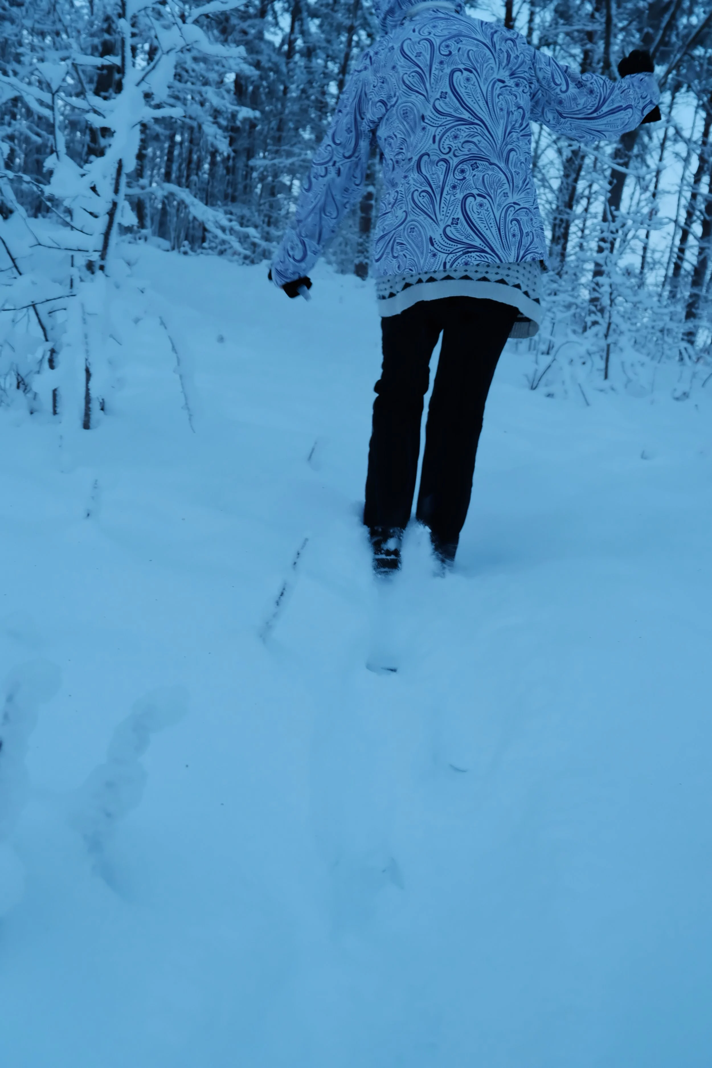 DSCF5590.JPG