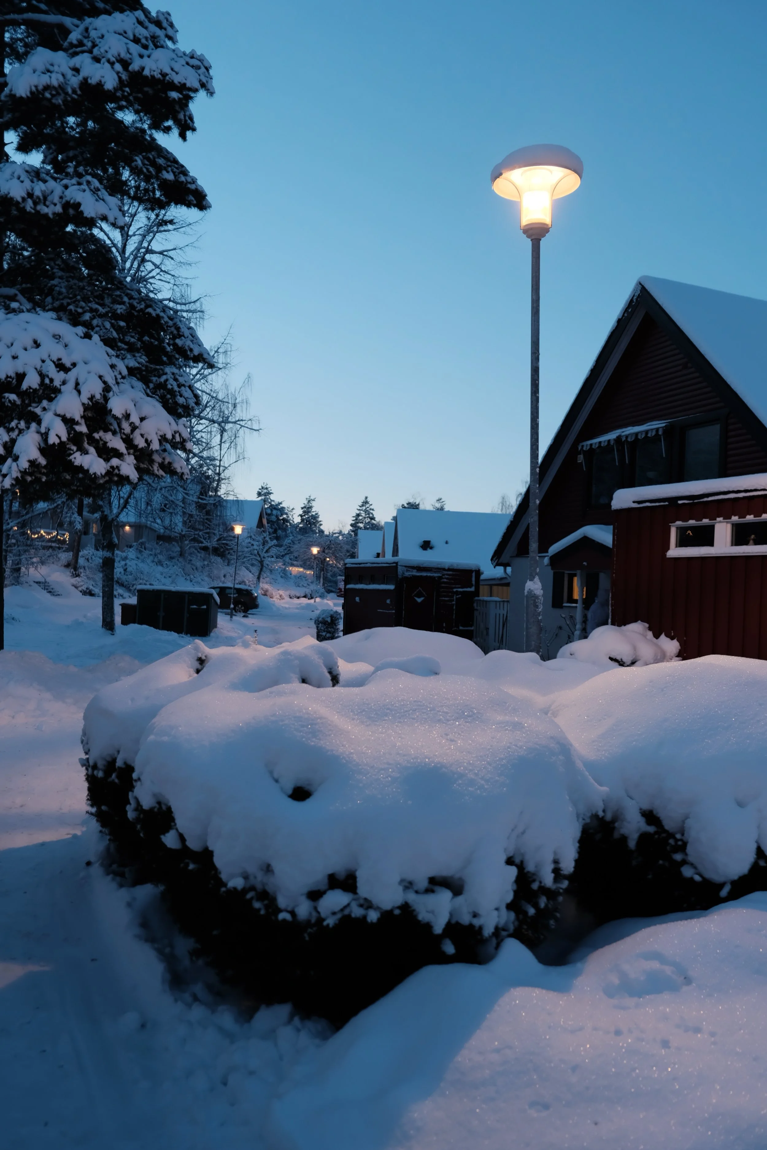 DSCF5606.JPG