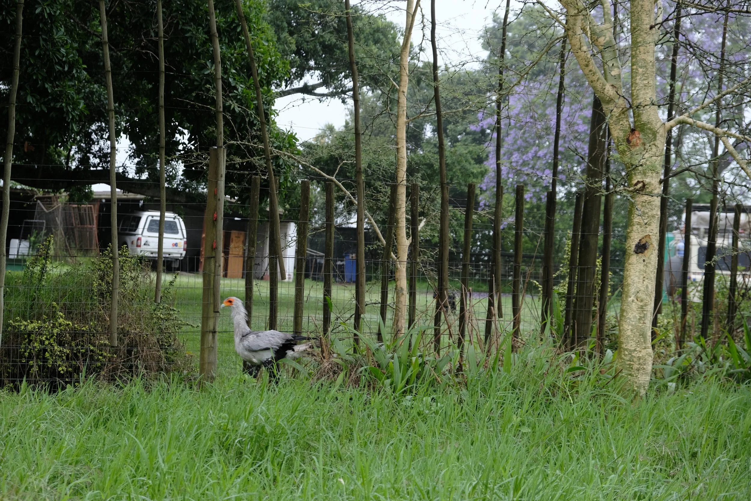 DSCF3374.JPG