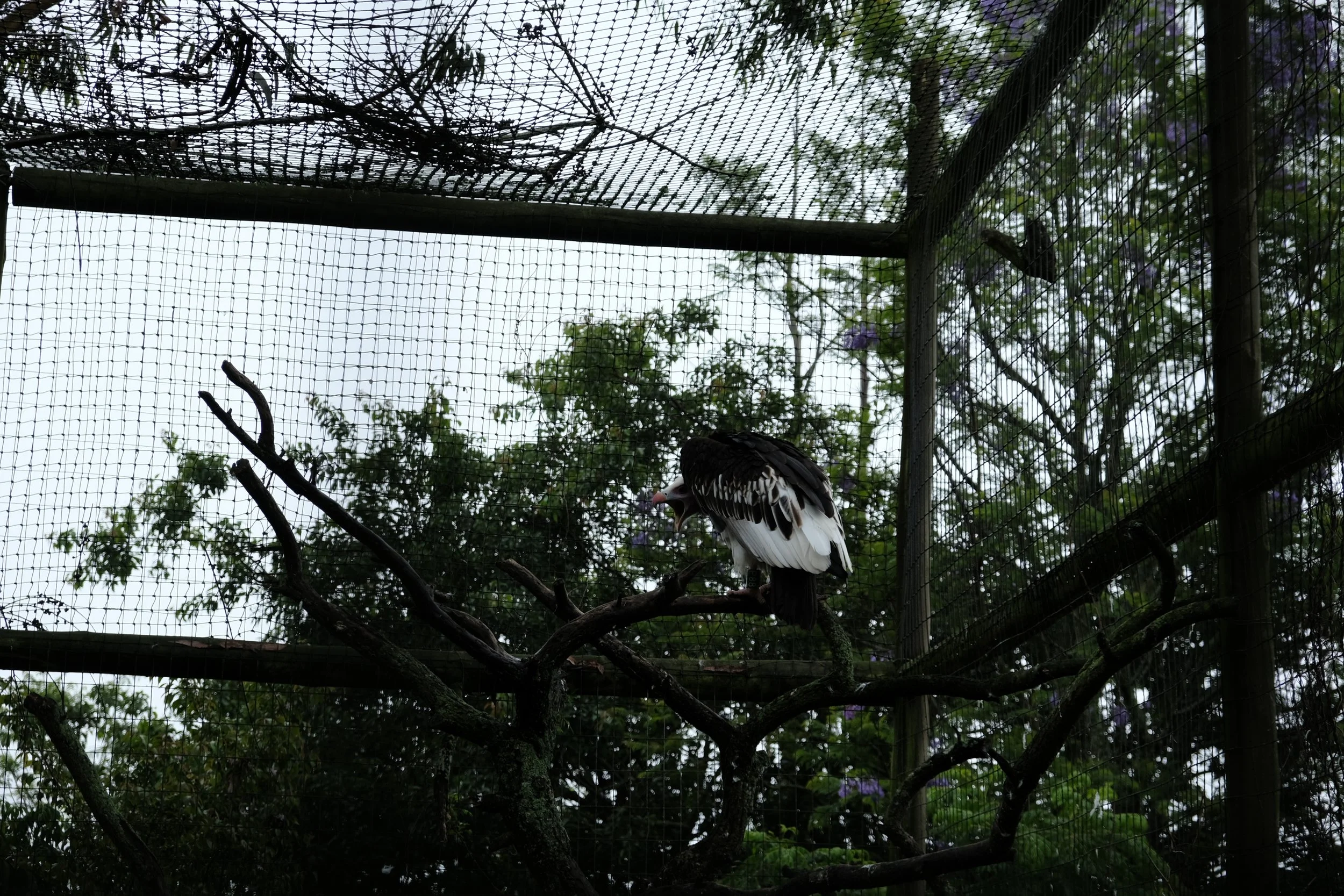 DSCF3391.JPG