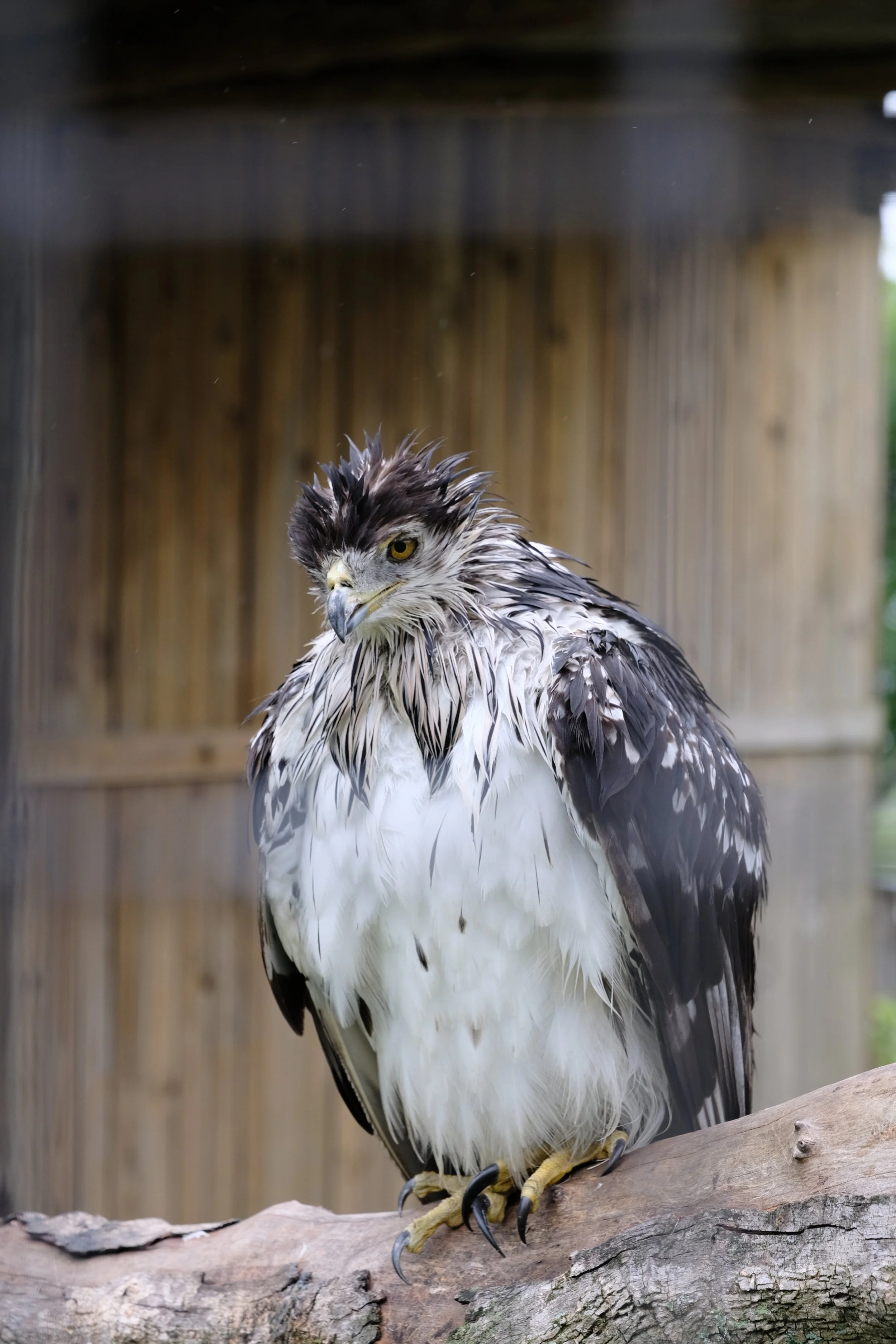 DSCF3418.JPG
