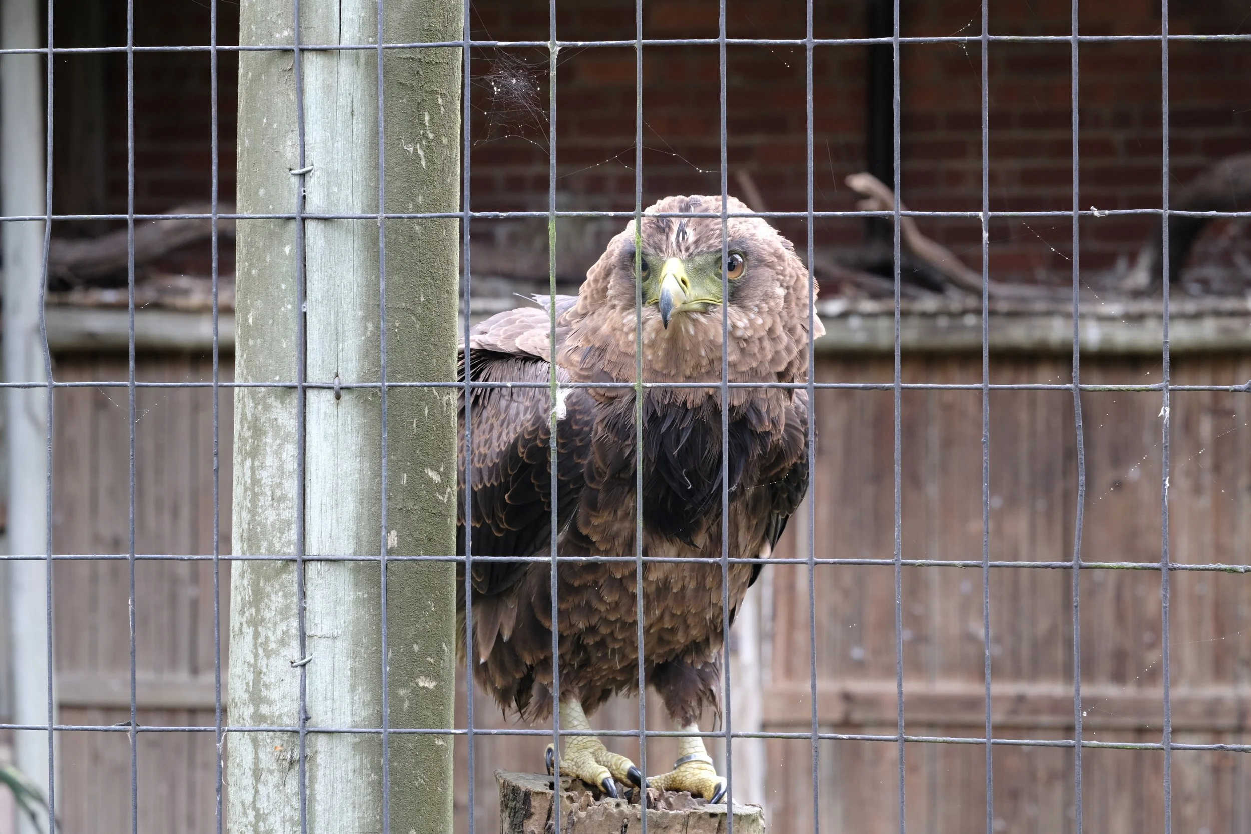 DSCF3485.JPG