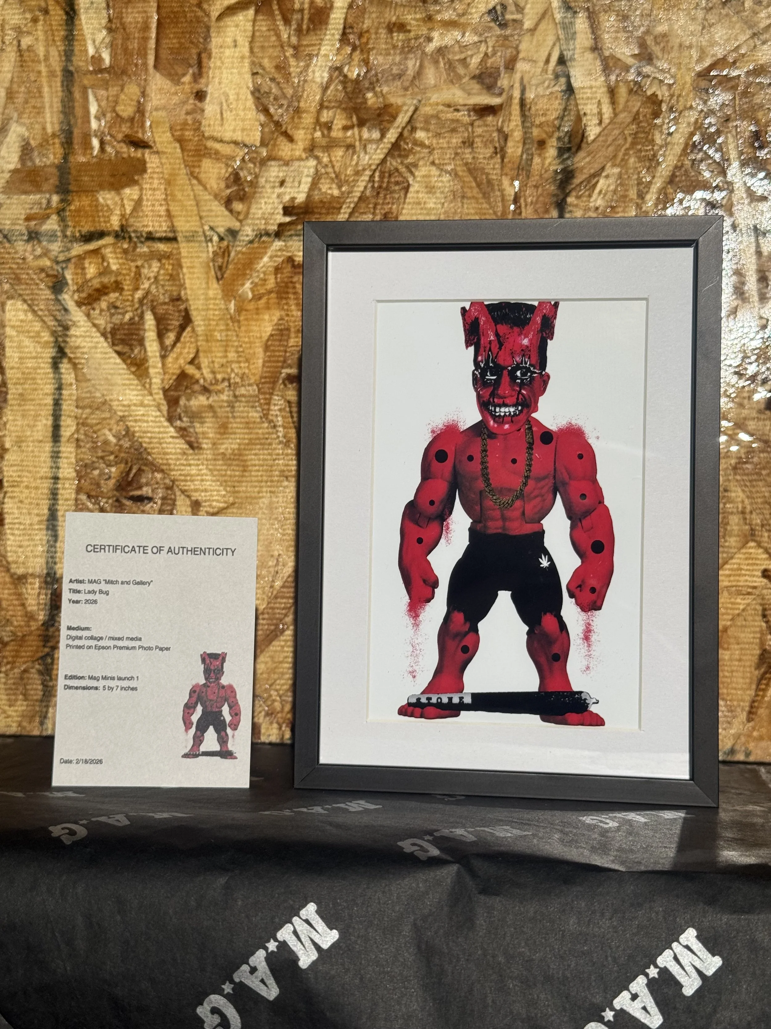 Lady Bug-Framed Print 5x7 (Metal and Glass)