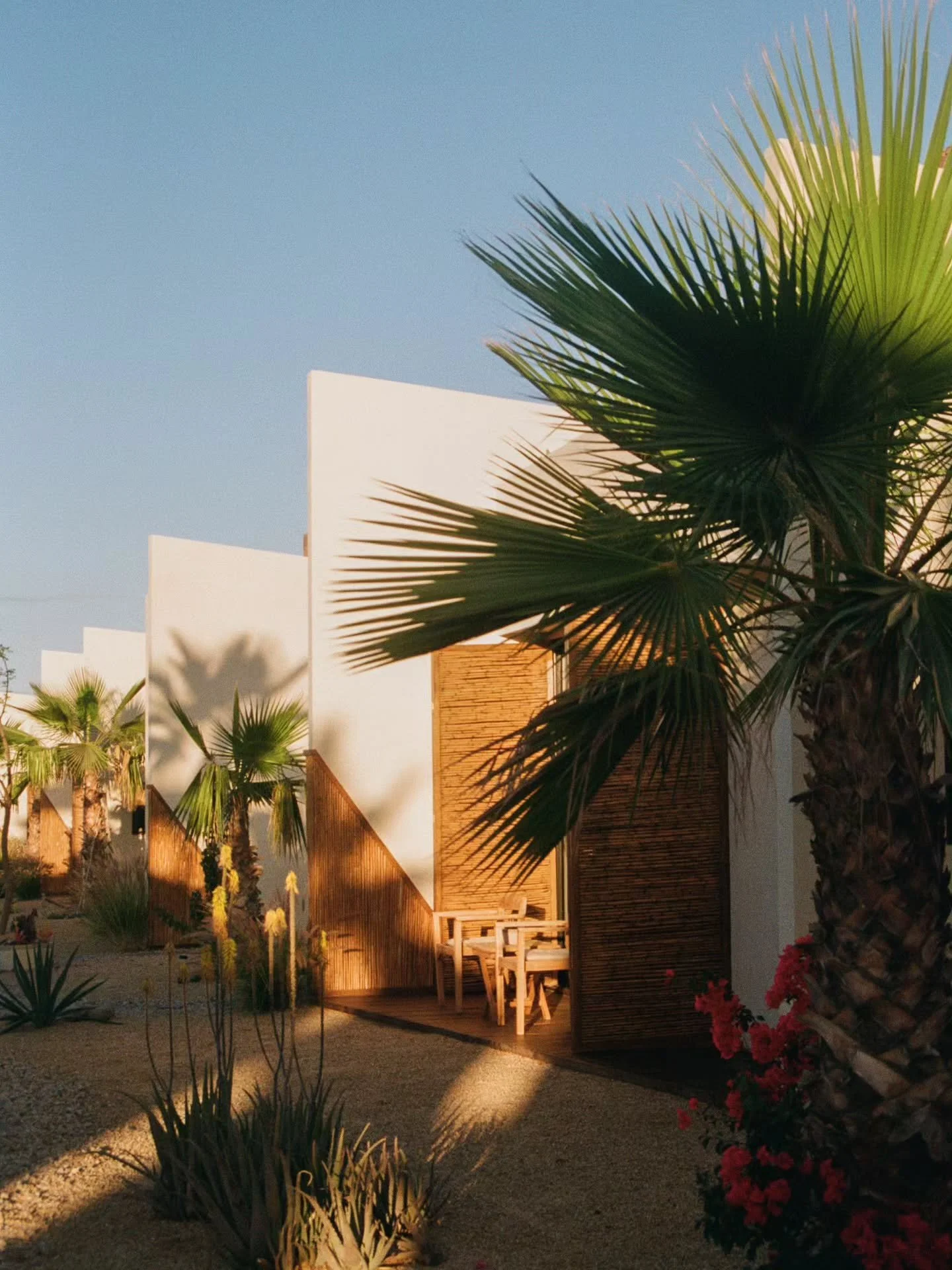 @casahyggemexico and the lovely founders, @fede_archdale + @ditteperschke, were highlighted in @forbes today! ☀️🌵

A nice write-up about the couple, their vision, and Casa Hygge...getting the recognition they deserve! Our community is incredible and