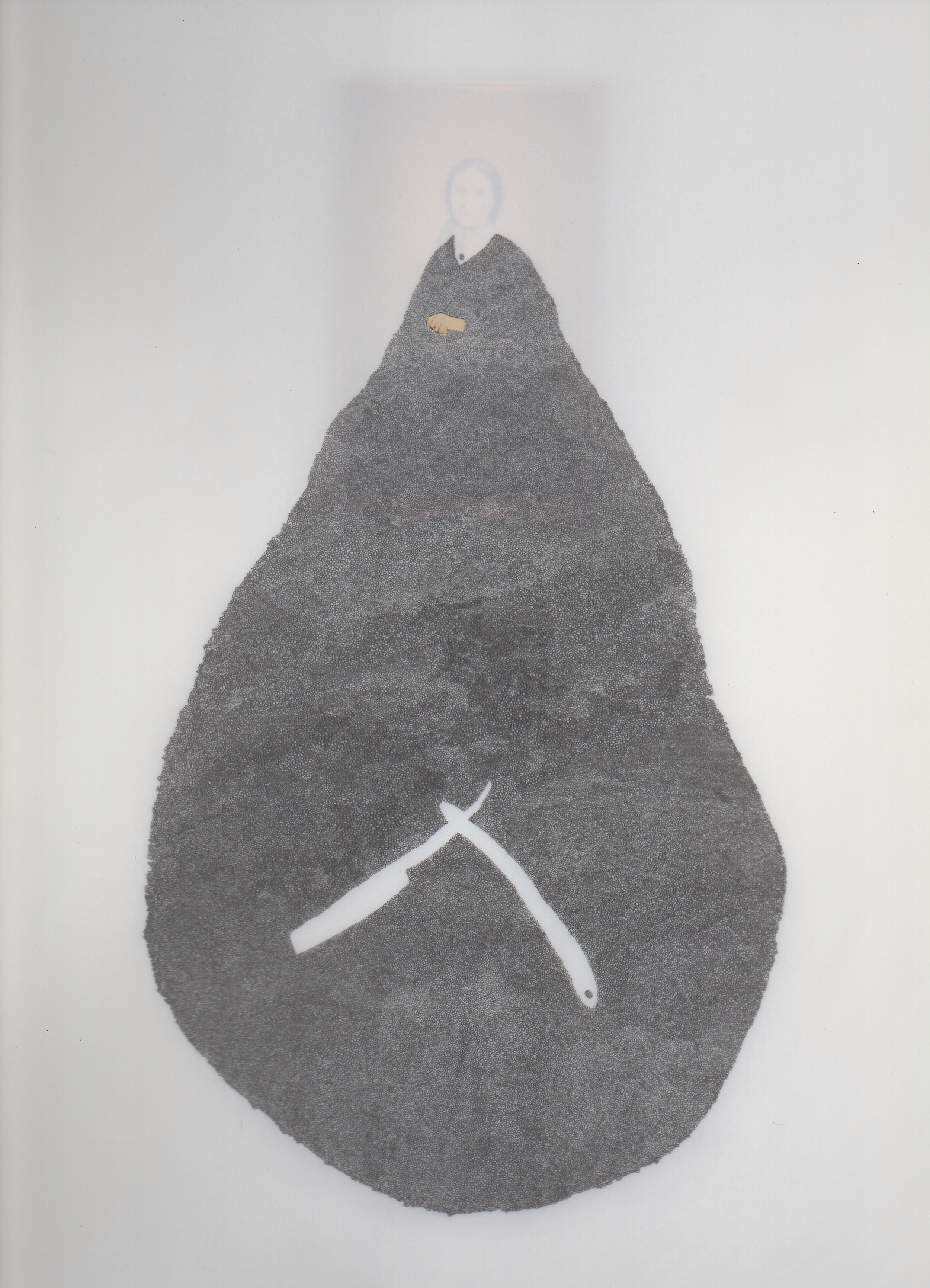 Delilah | 2014 | carte-de-visite, graphite on transparent polypropylene paper | 11" x 14"