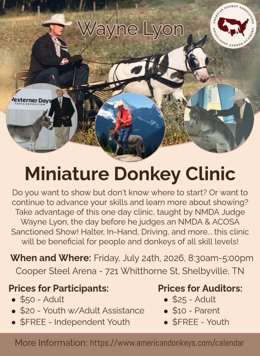 Wayne Lyon Clinic