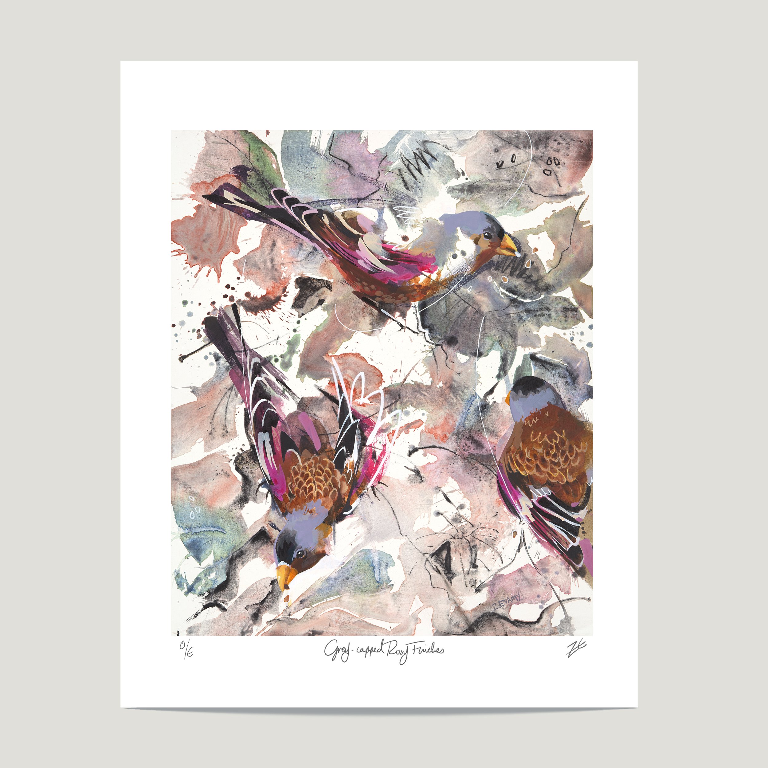 Rosy Finches - Archival Print